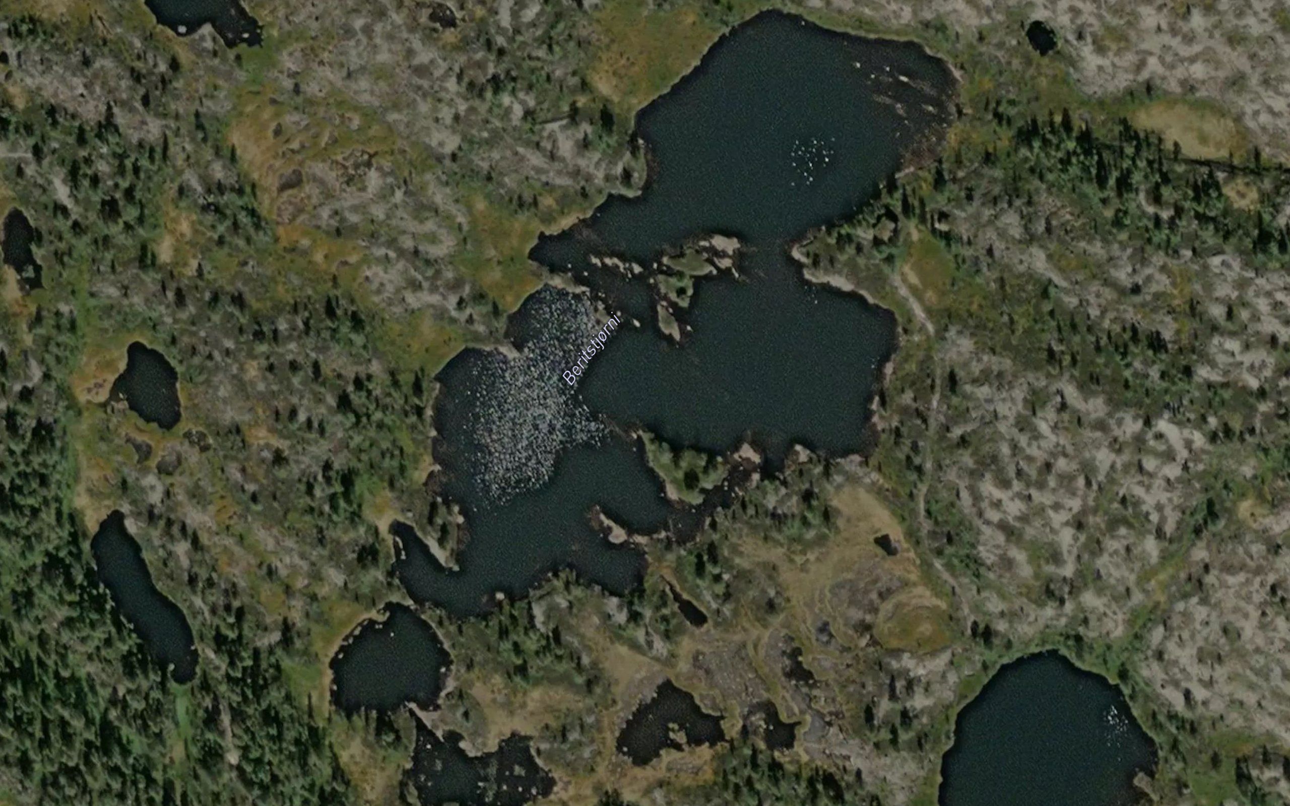 Beritstjorn