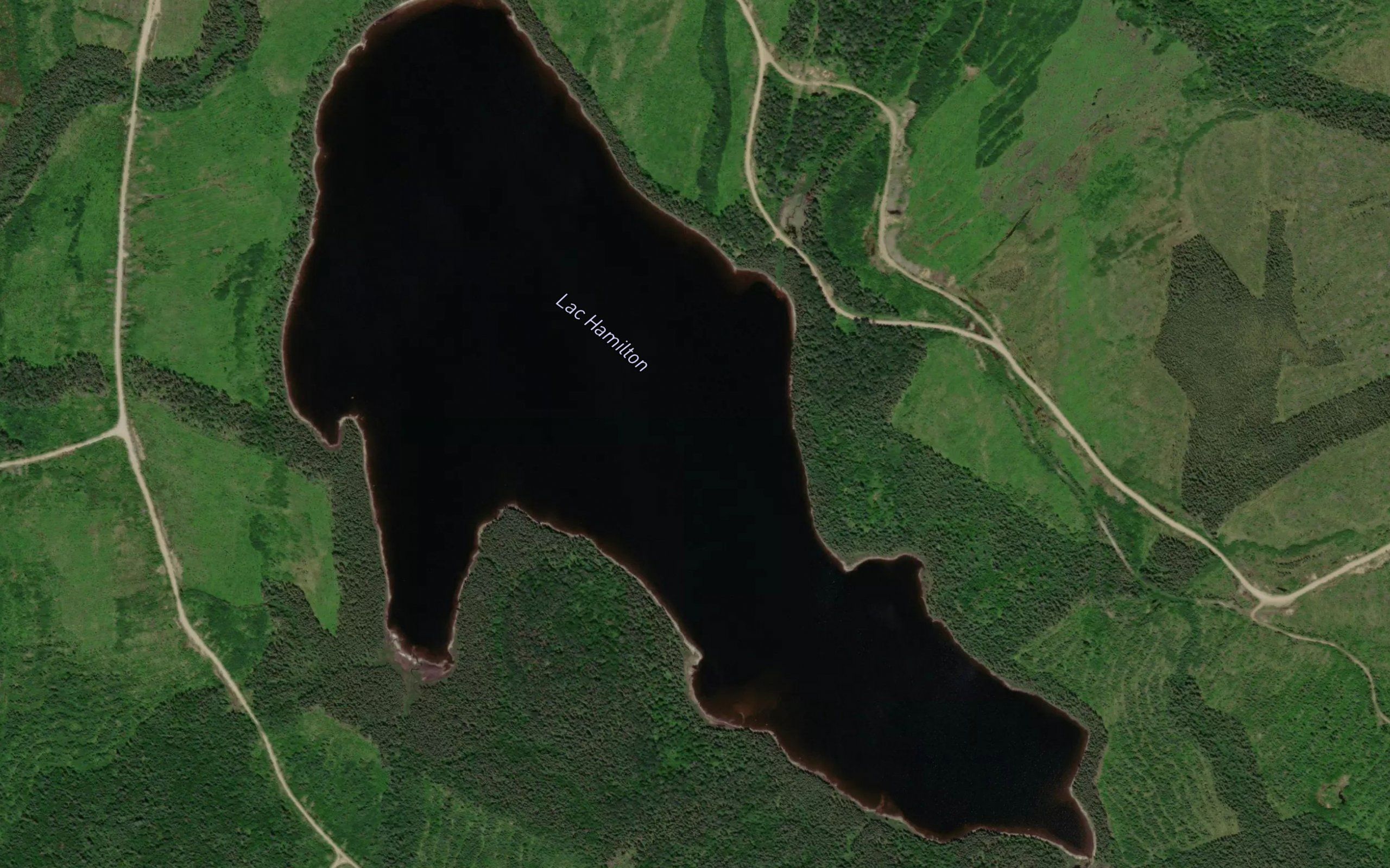 Lac Hamilton