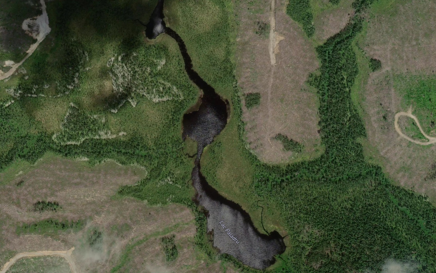 Satellite map of the Lac Paladru
