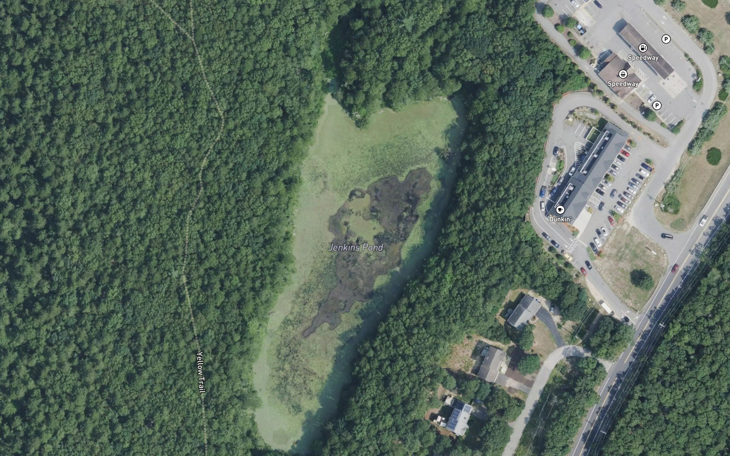 Jenkins Pond