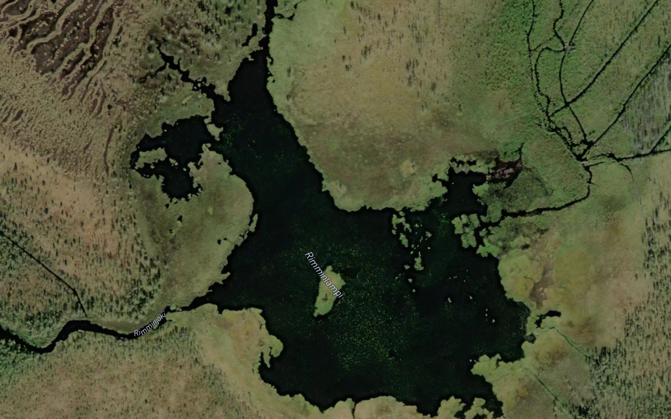 Rimminlampi
