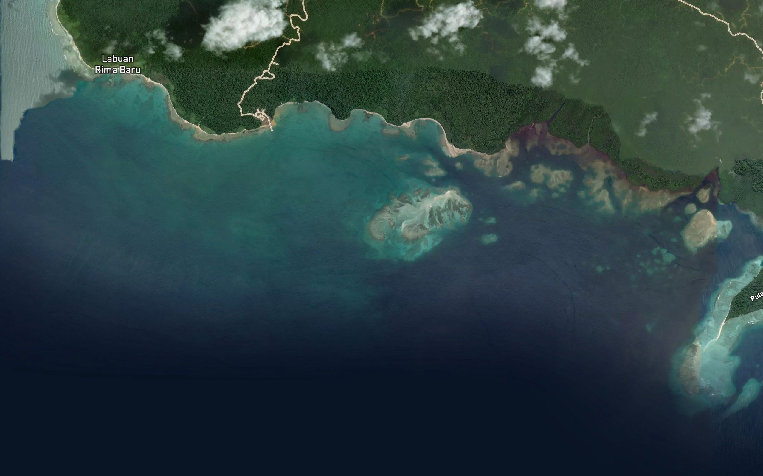 Kajuarau