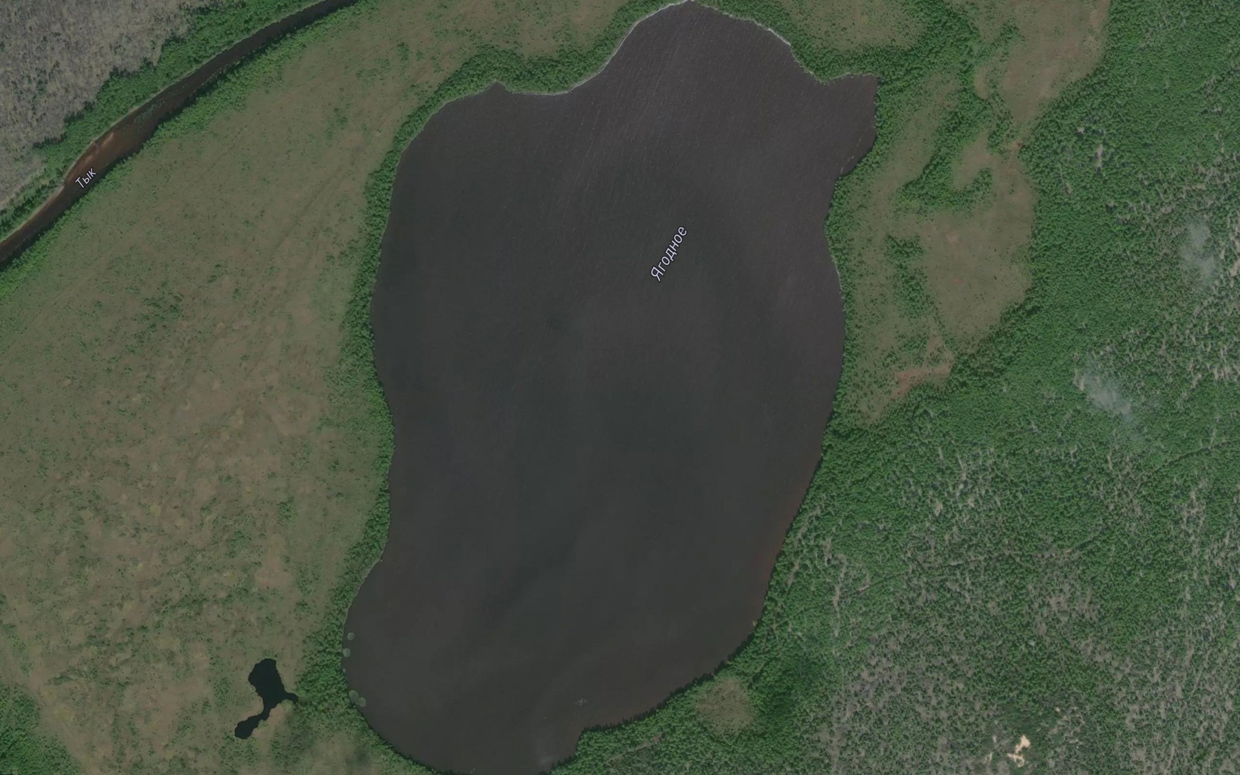 Satellite map of the Ozero Yagodnoye