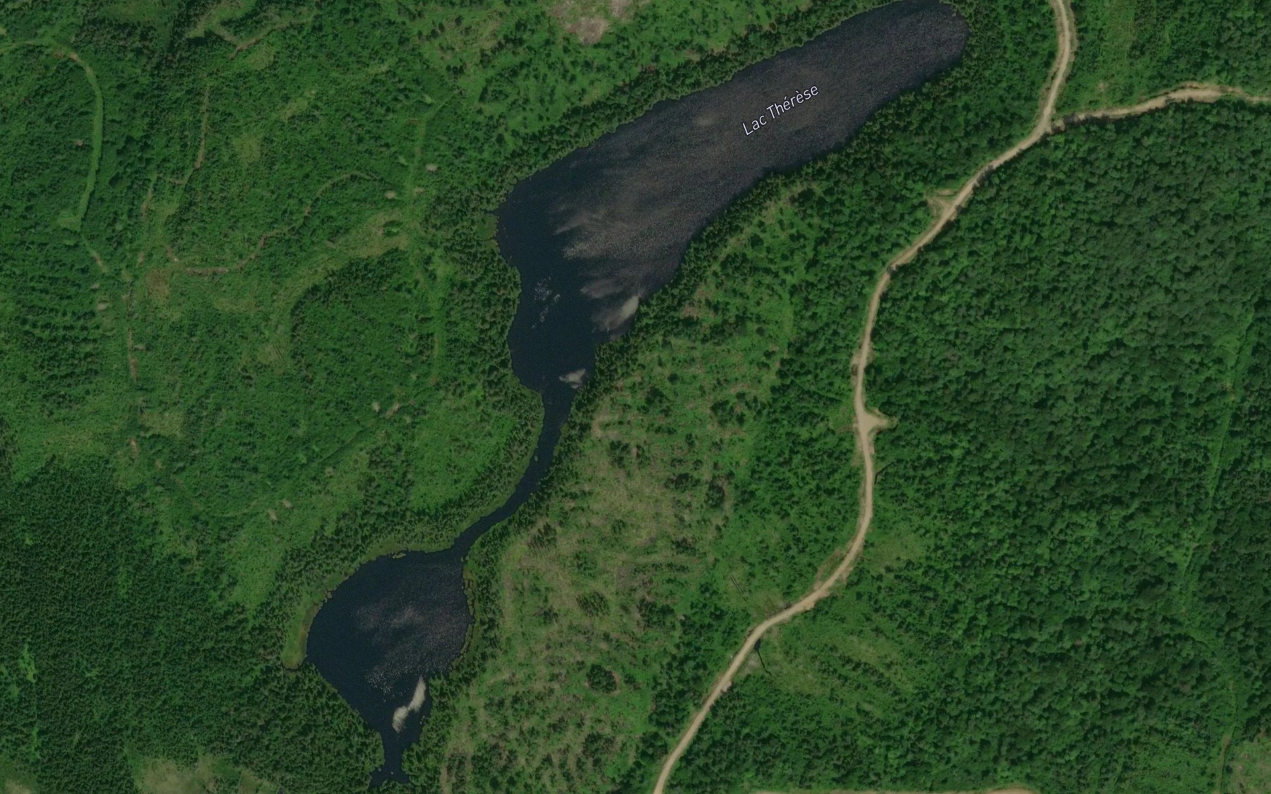 Satellite map of the Lac Therese