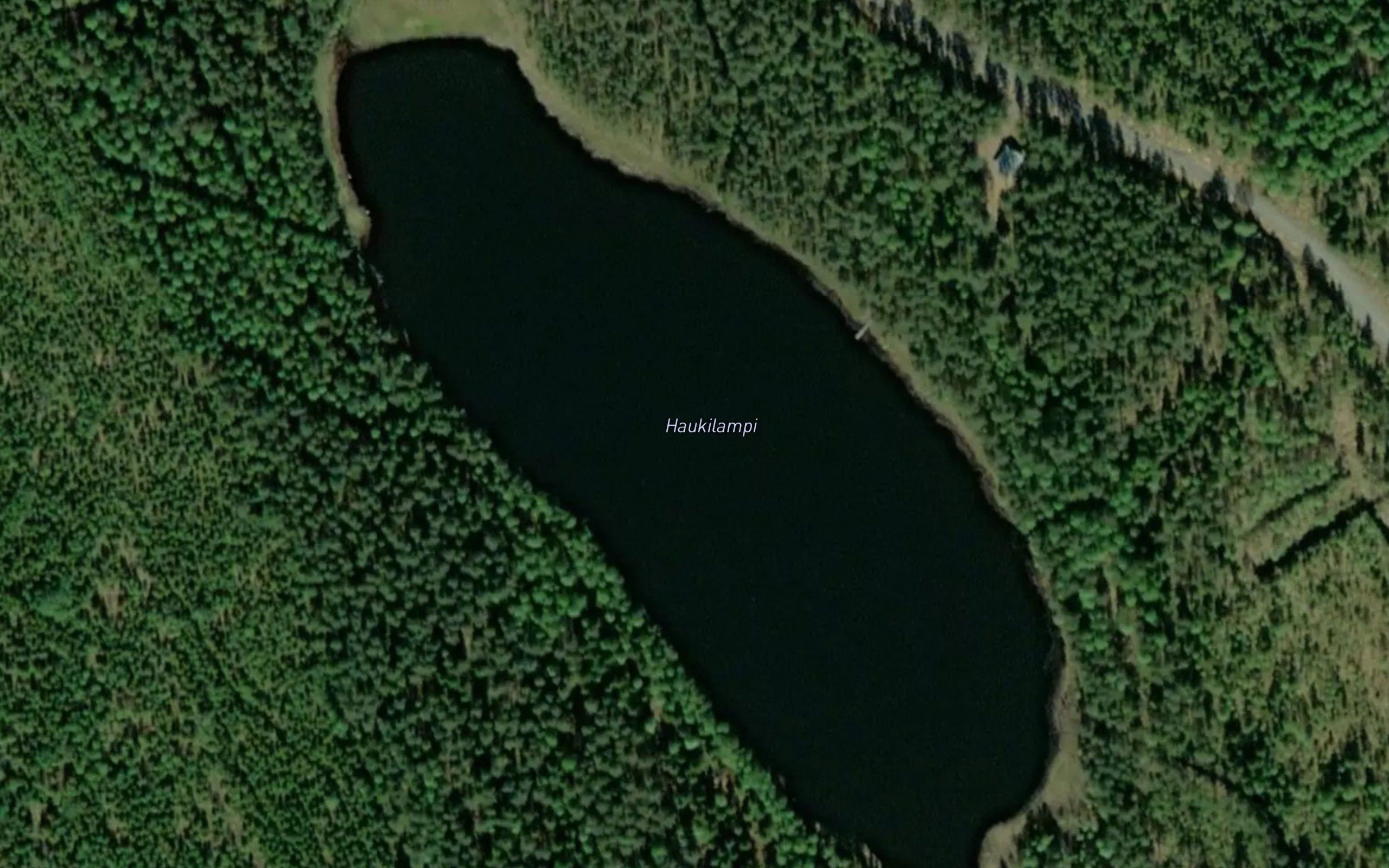 Haukilampi