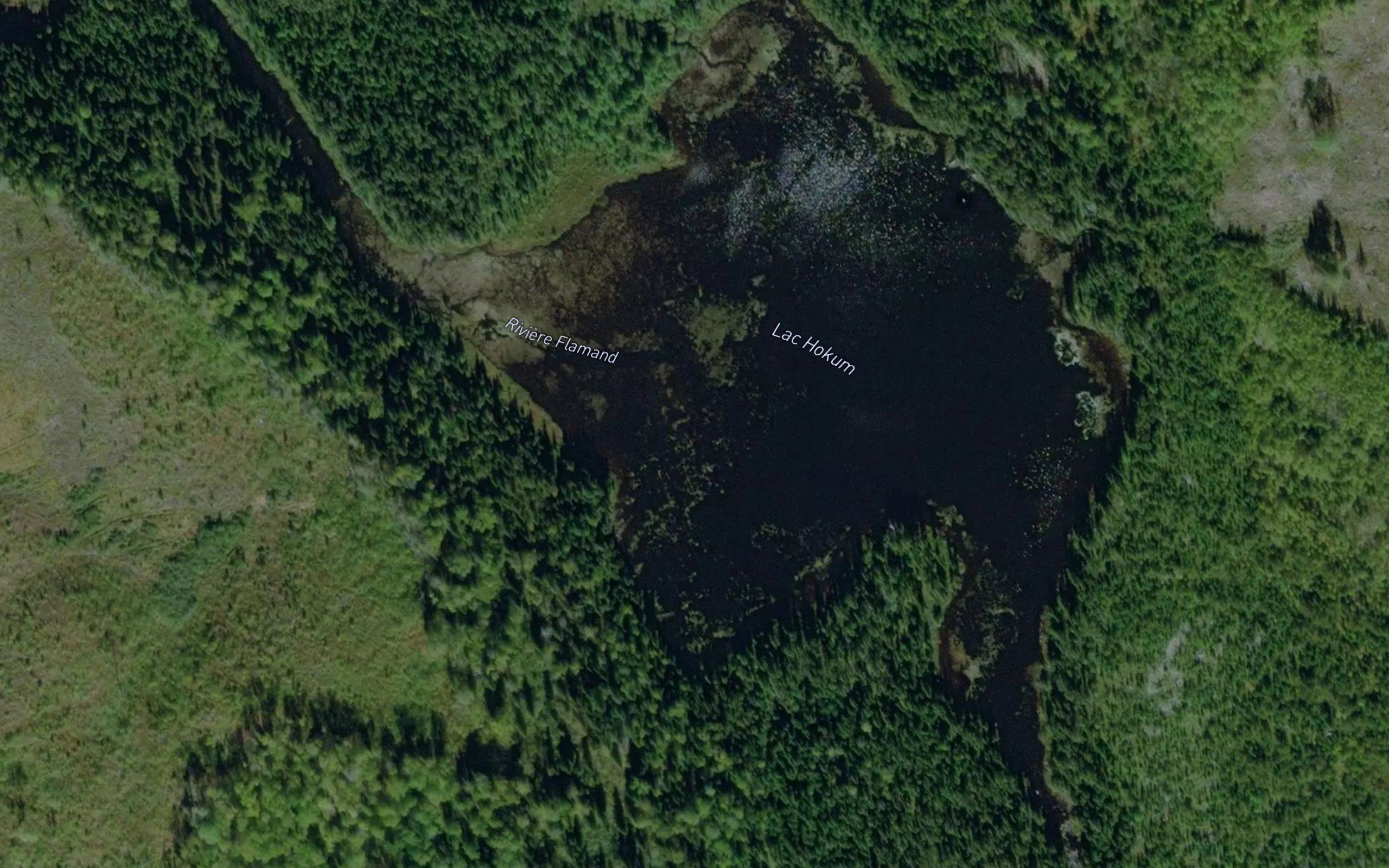 Lac Hokum
