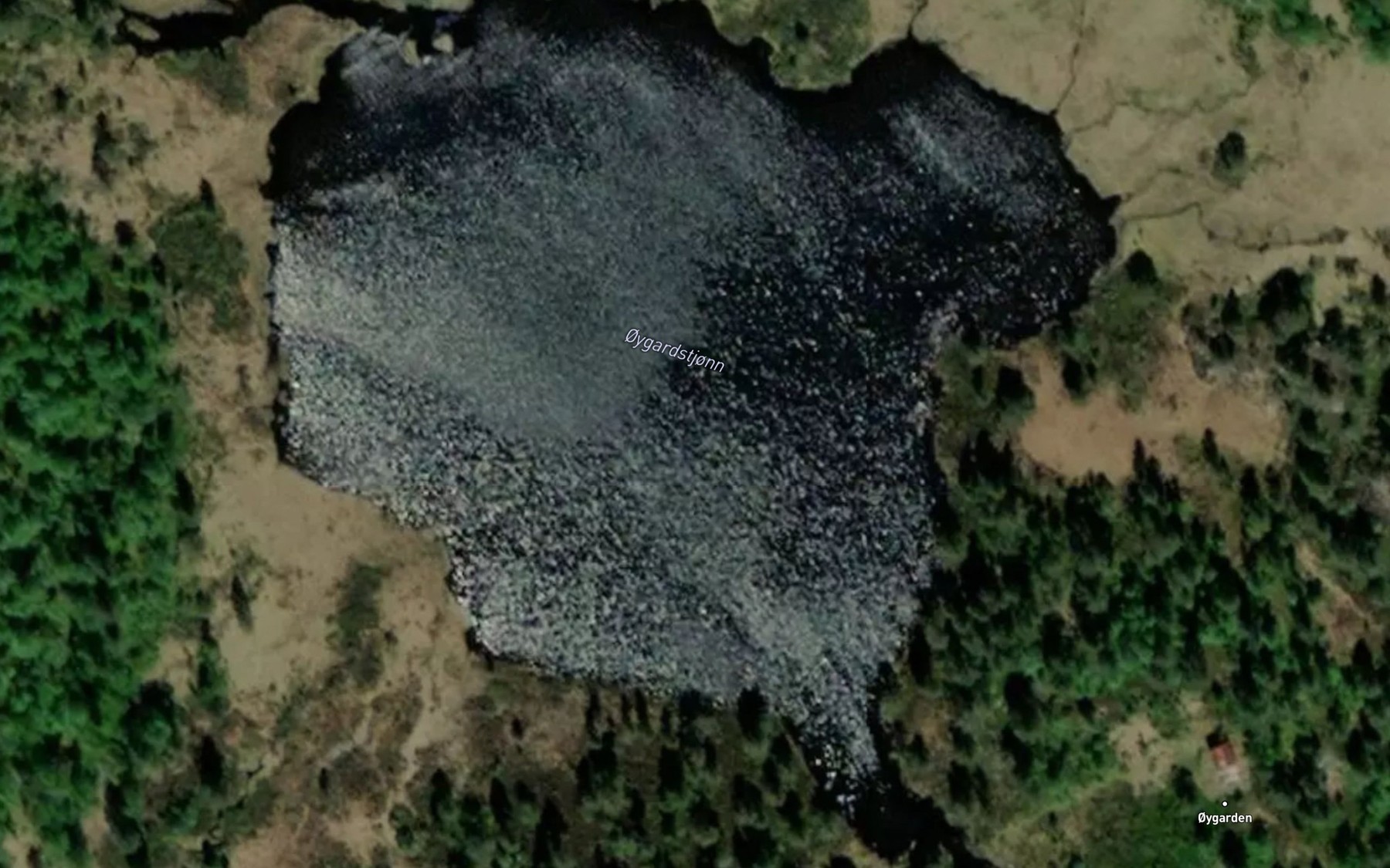 Satellite map of the Oygardstjonn