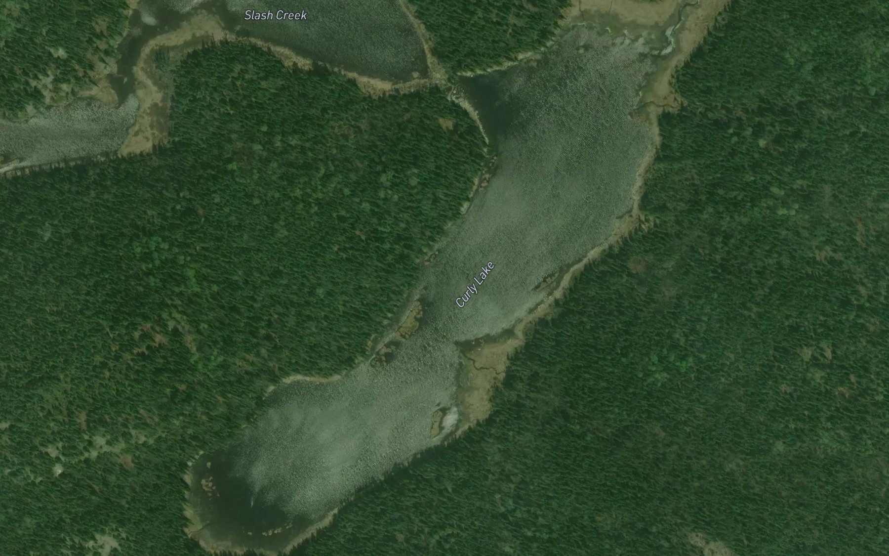Satellite map of the Curly Lake