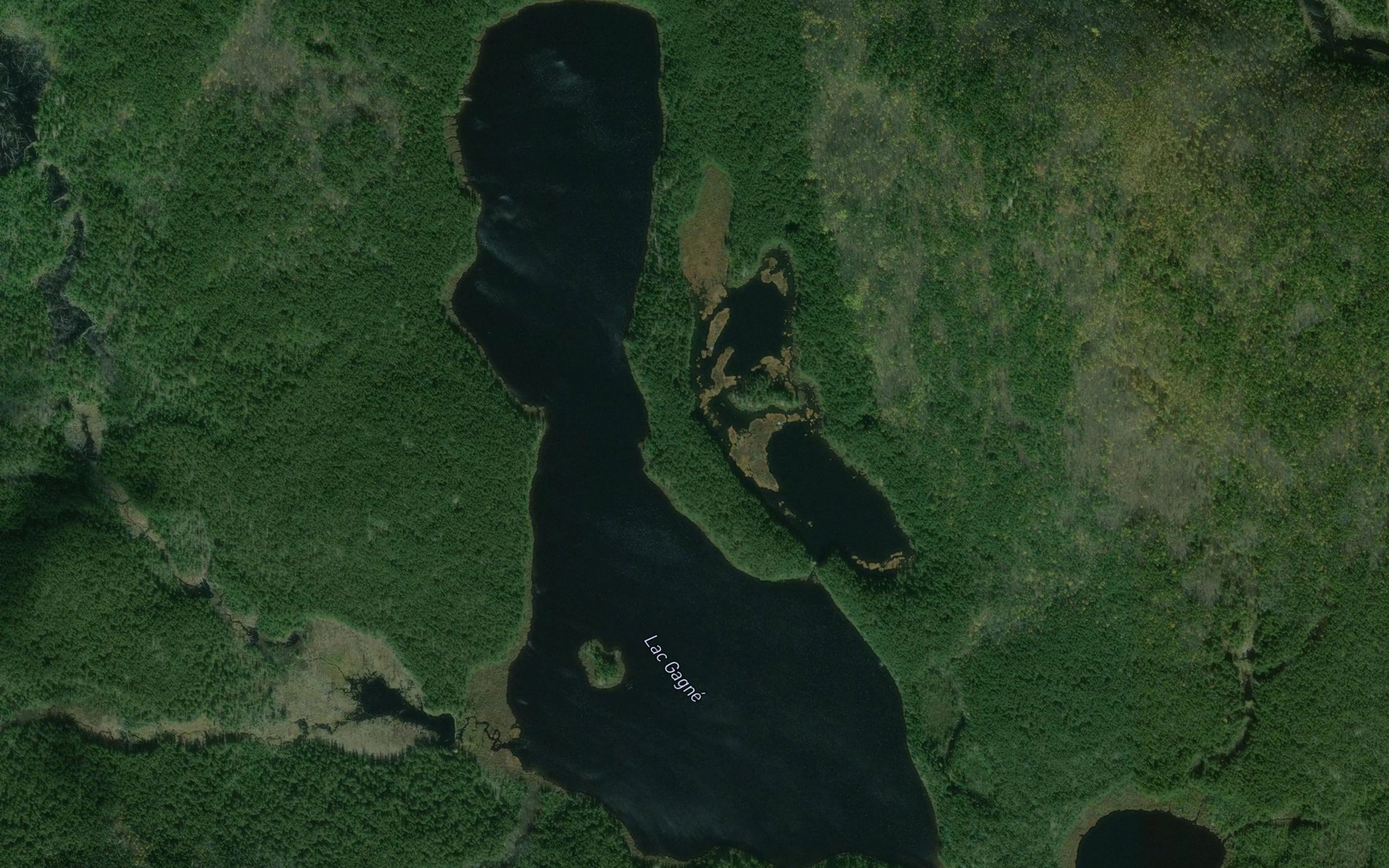 Satellite map of the Lac Gagne
