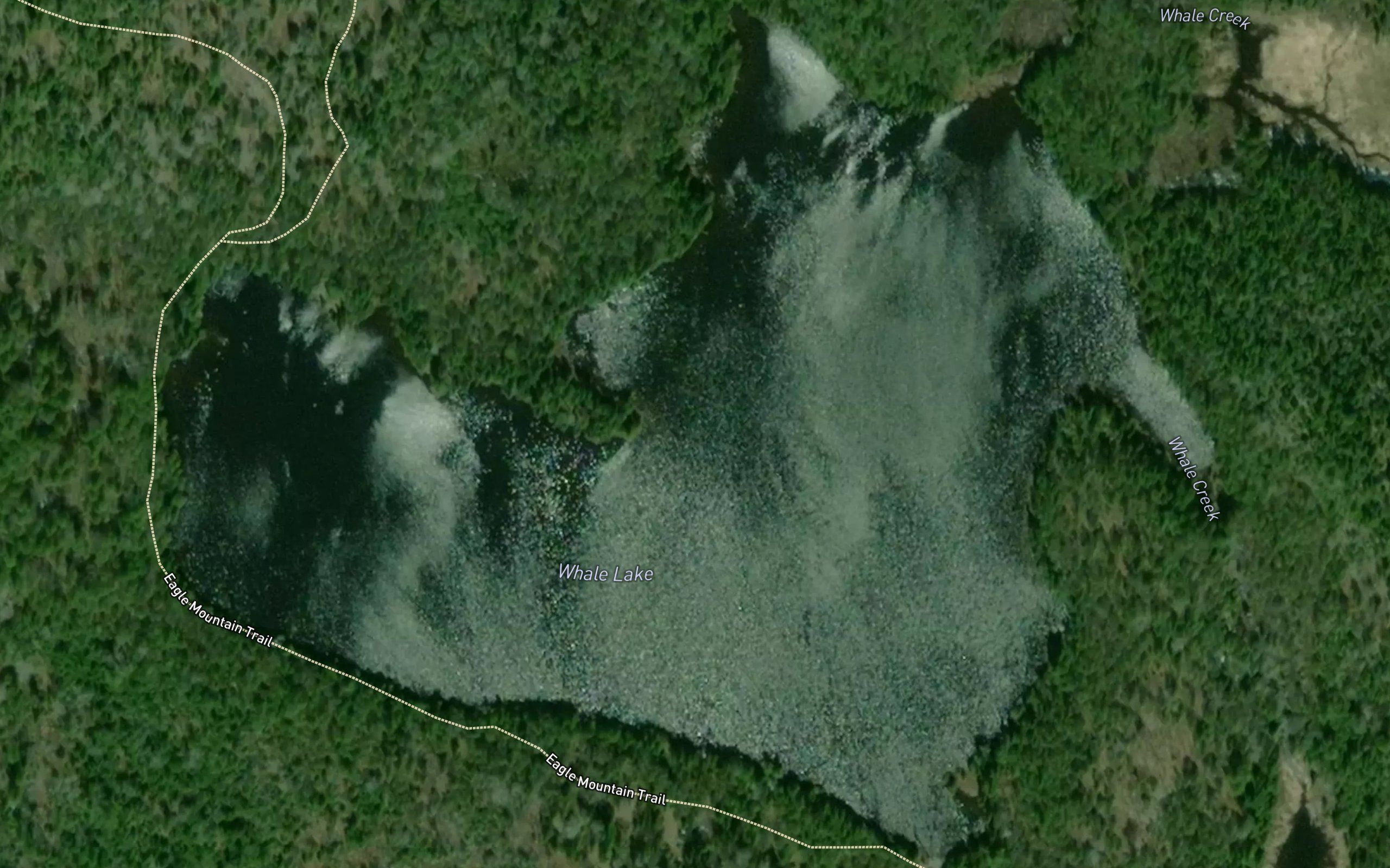 Whale Lake