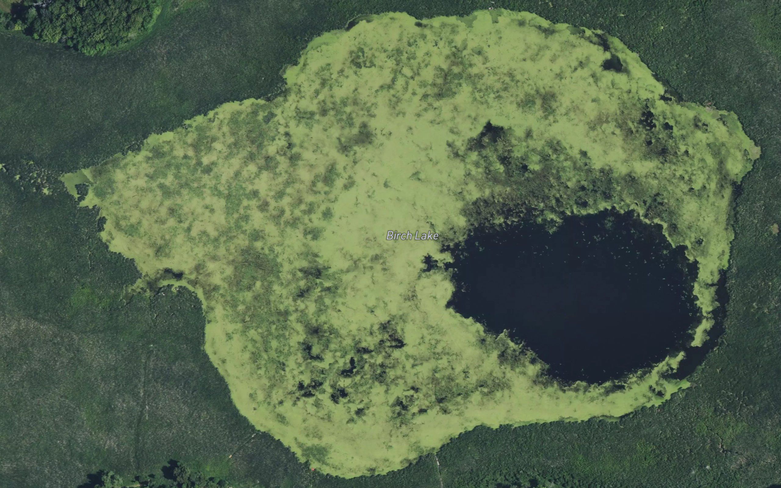 Birch Lake