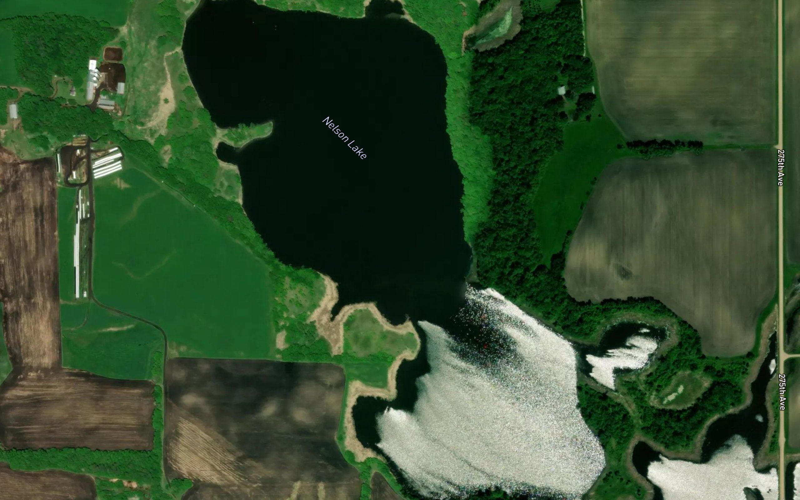 Nelson Lake