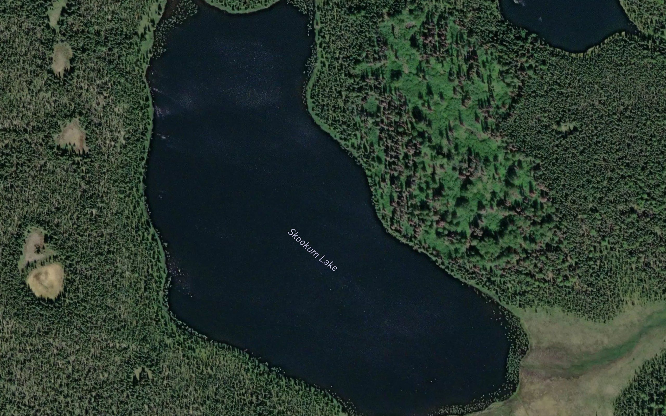 Skookum Lake