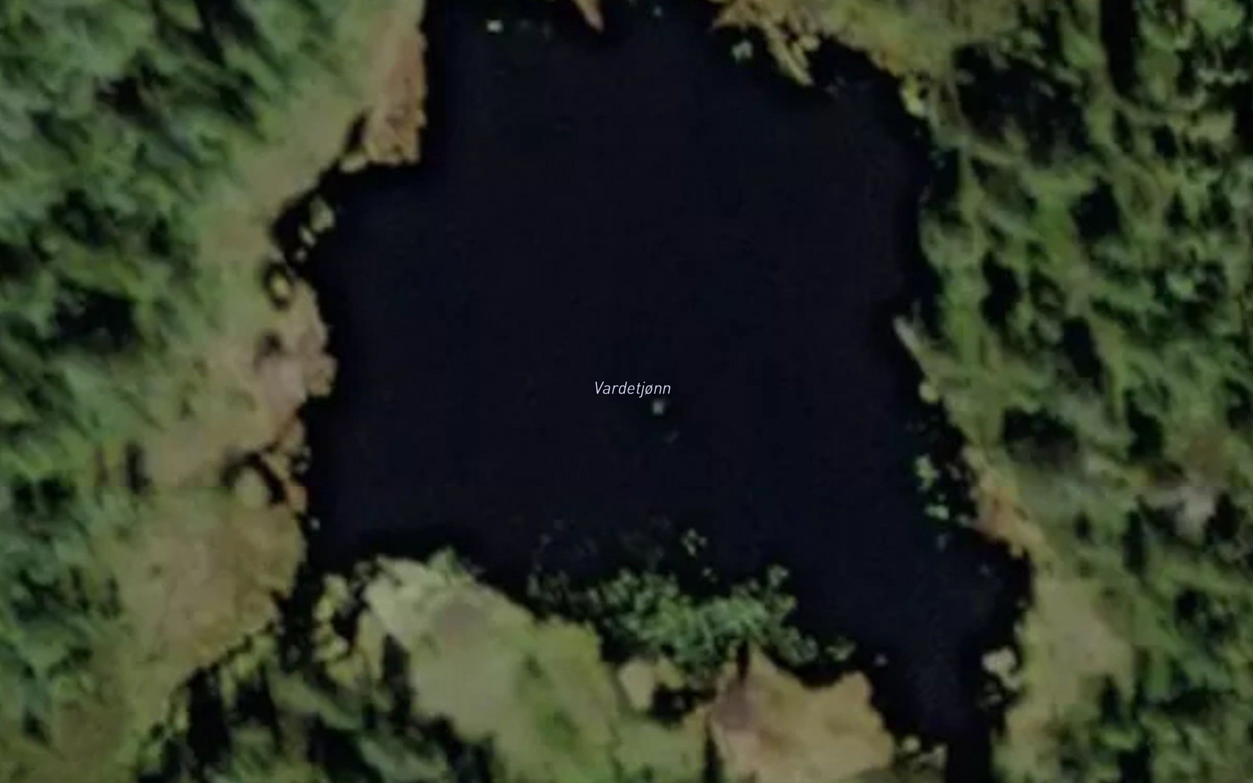 Vardetjorn