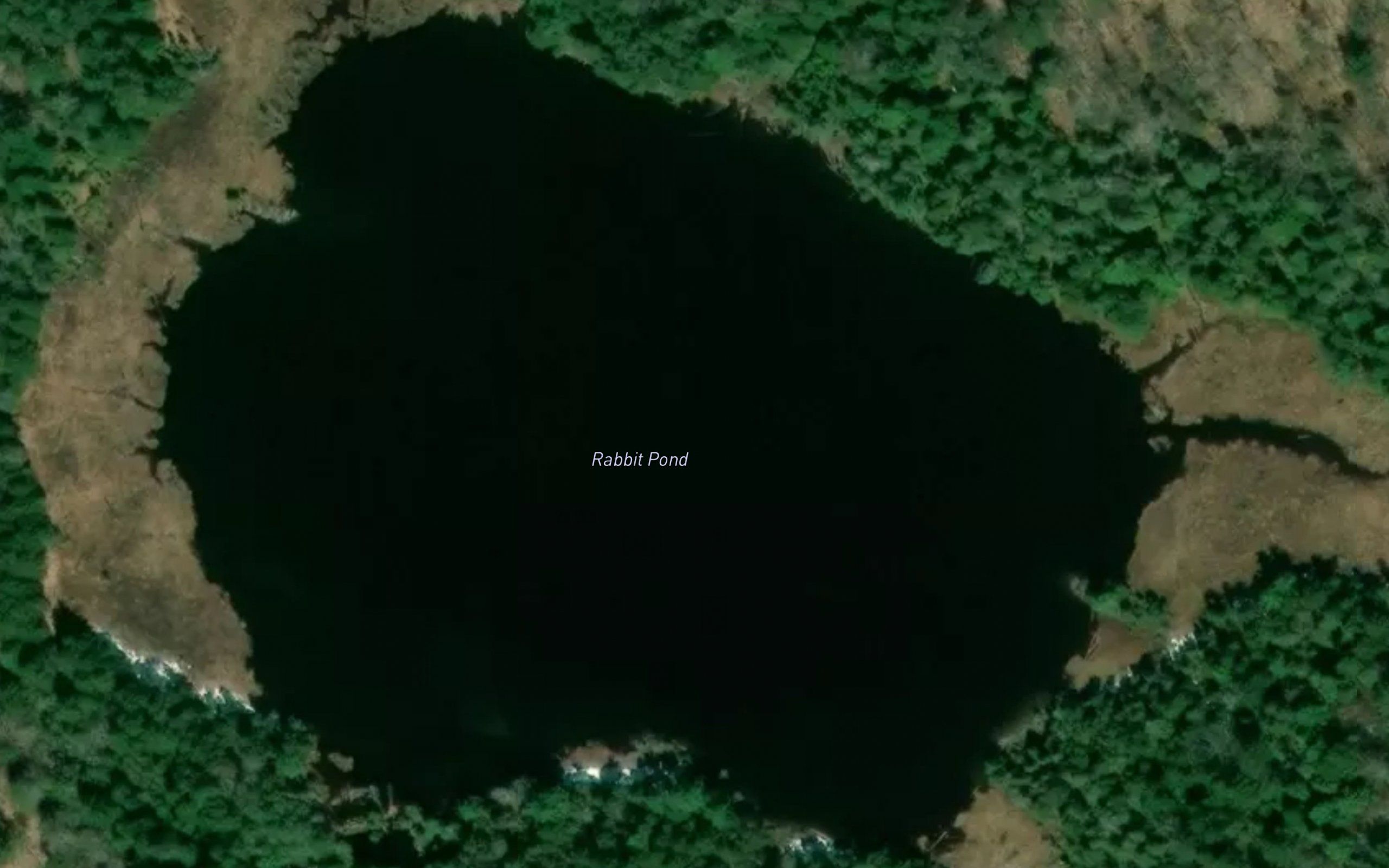 Rabbit Pond