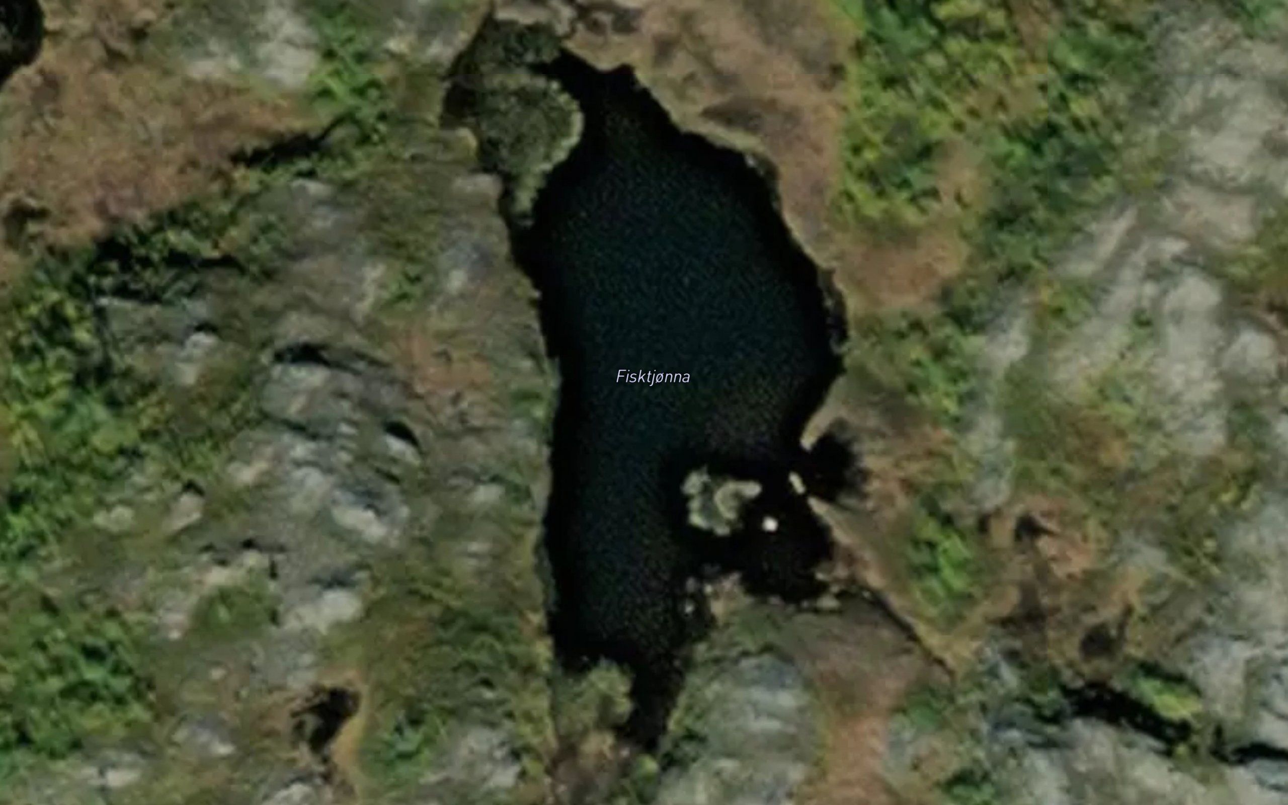 Fisktjonna