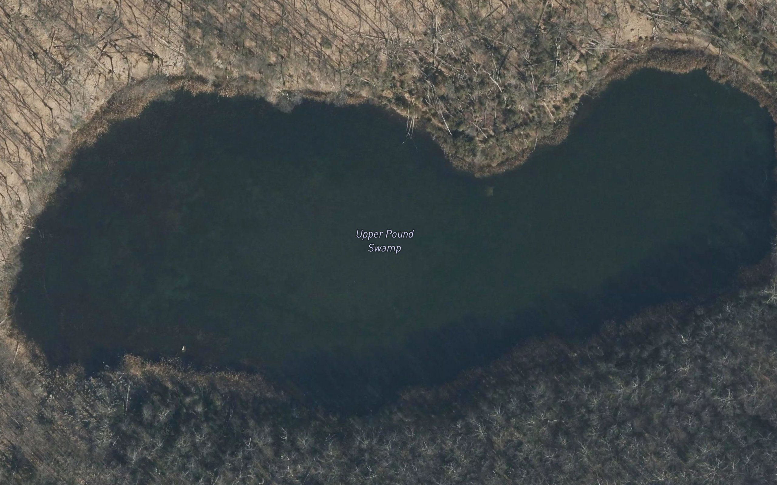Upper Pound Swamp
