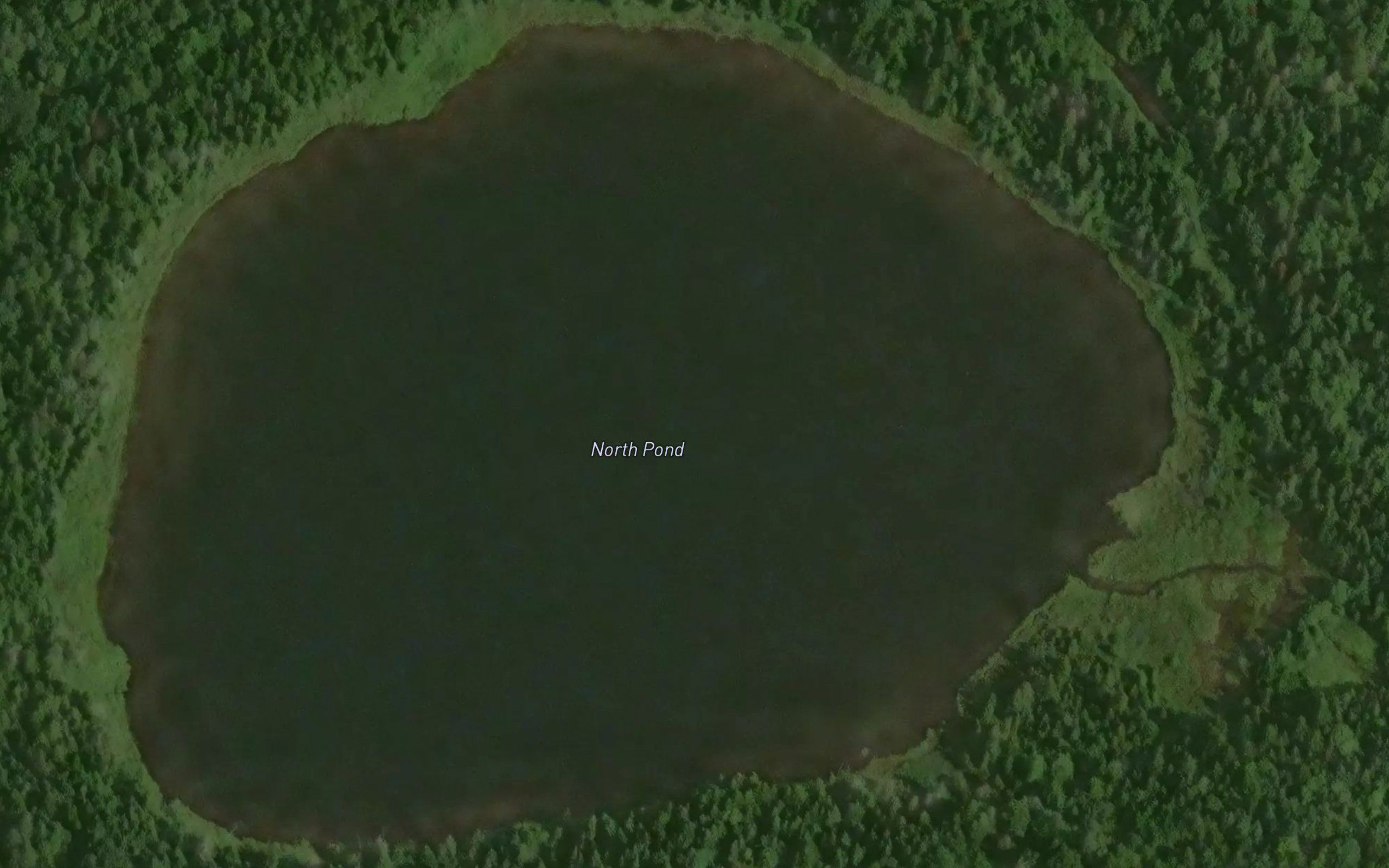 North Pond