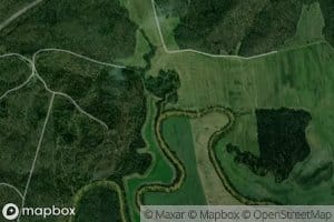 Hedges Run