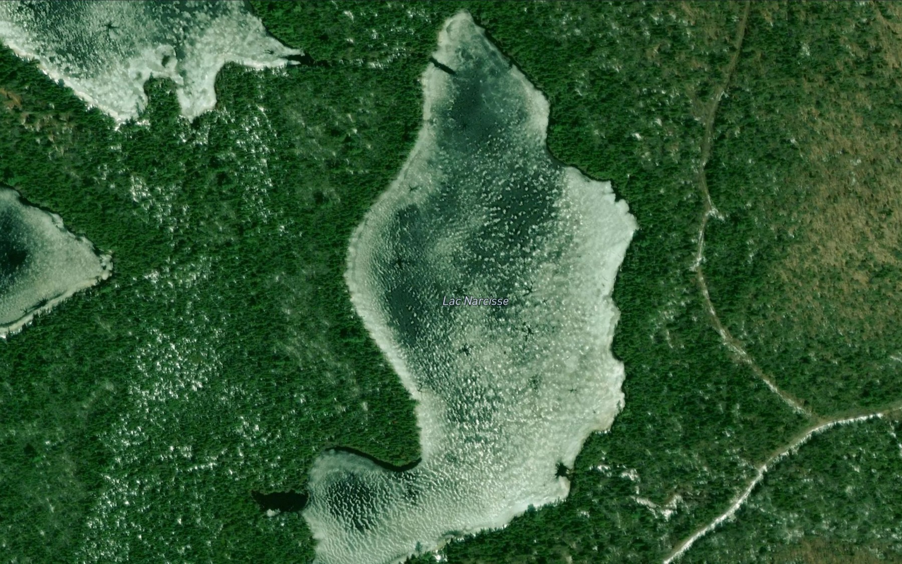Satellite map of the Lac Narcisse