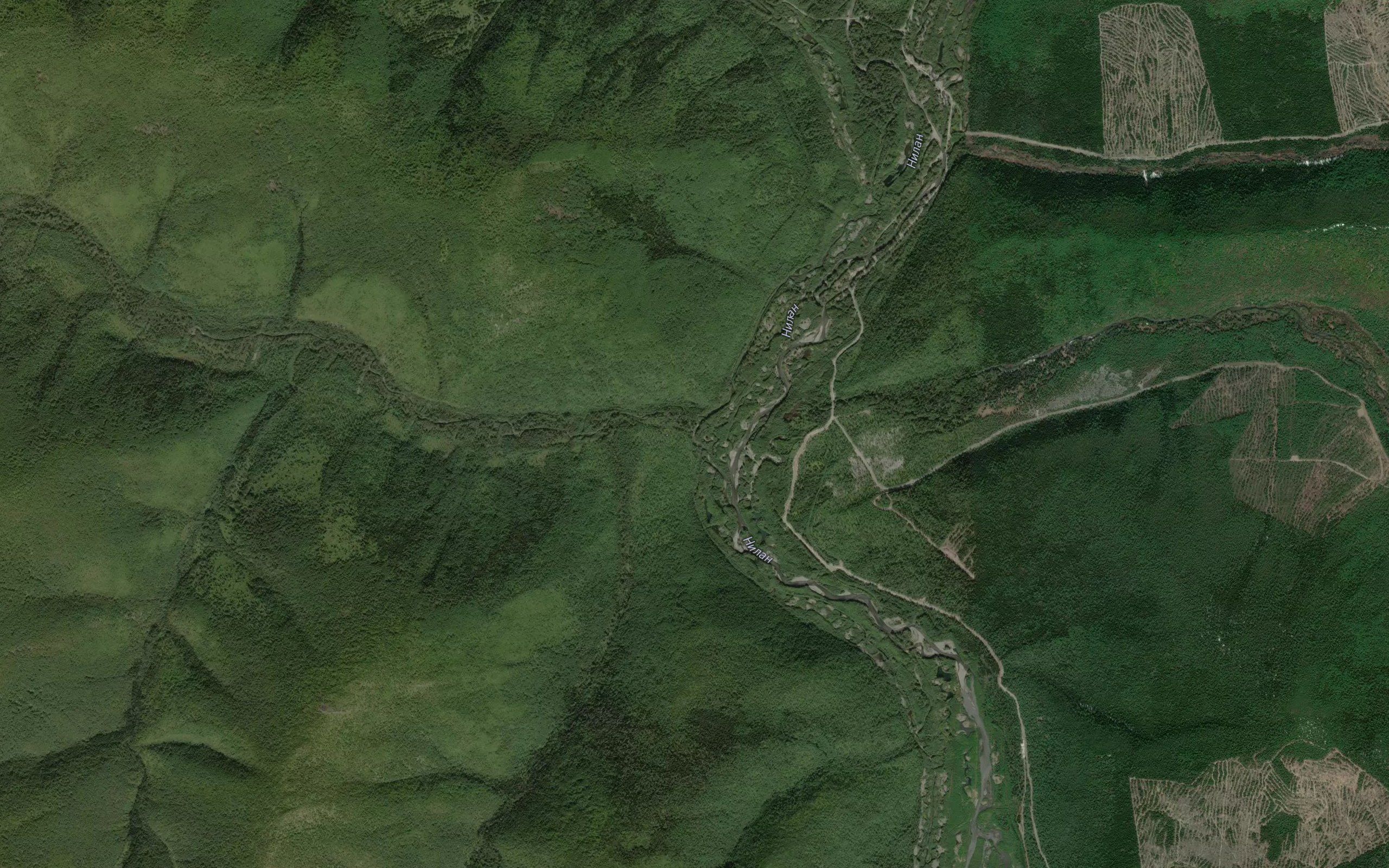 Bryandzha