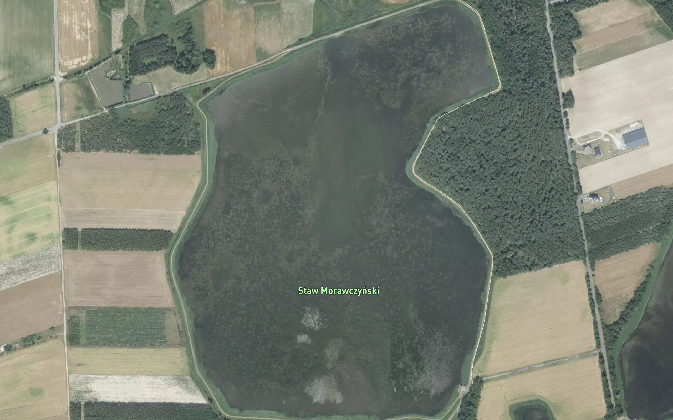 Staw Morawczynski