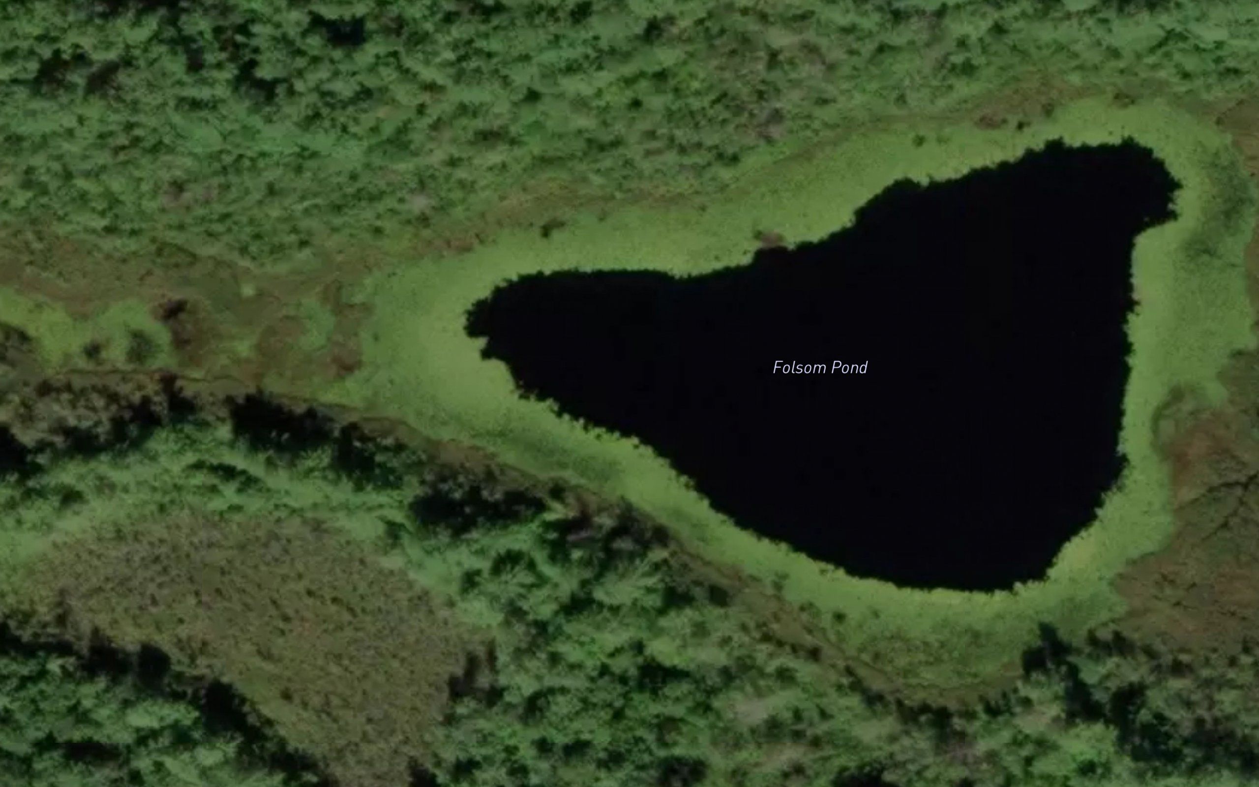 Folsom Pond
