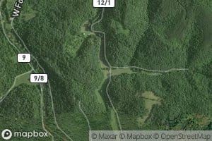 Bear Fork