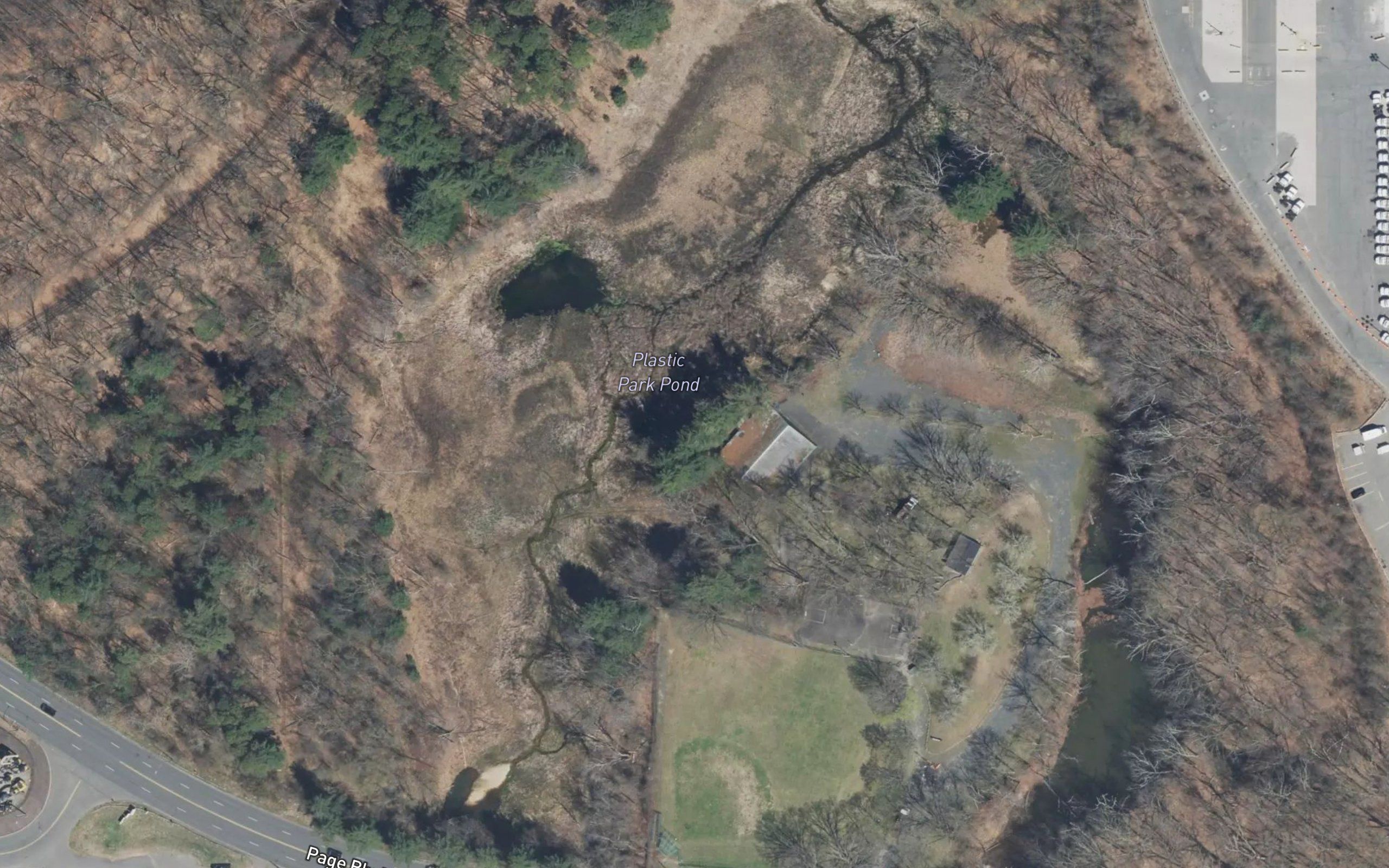Plastic Park Pond