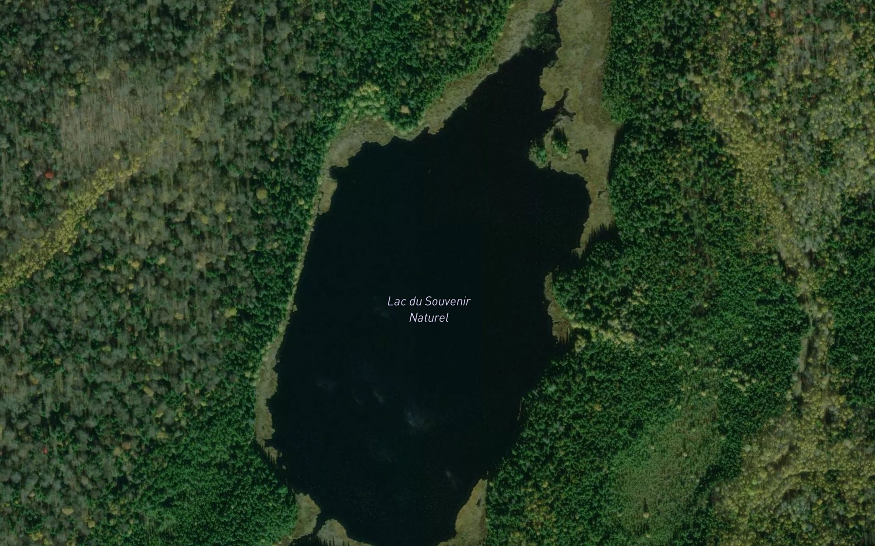 Satellite map of the Lac du Souvenir Naturel