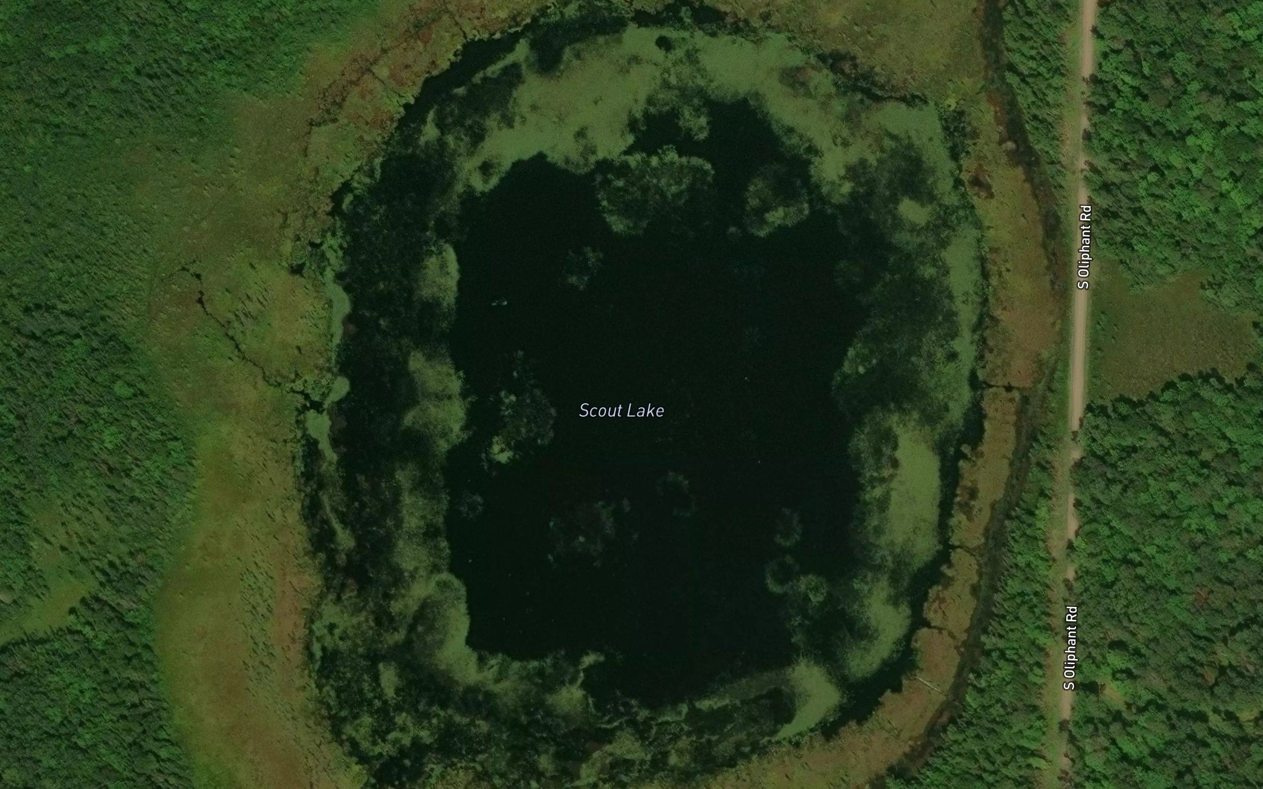 Scout Lake