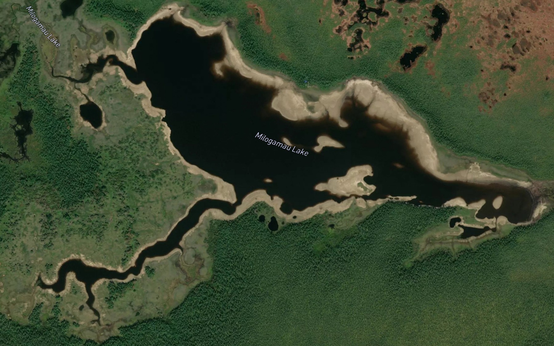 Satellite map of the Milogamau Lake