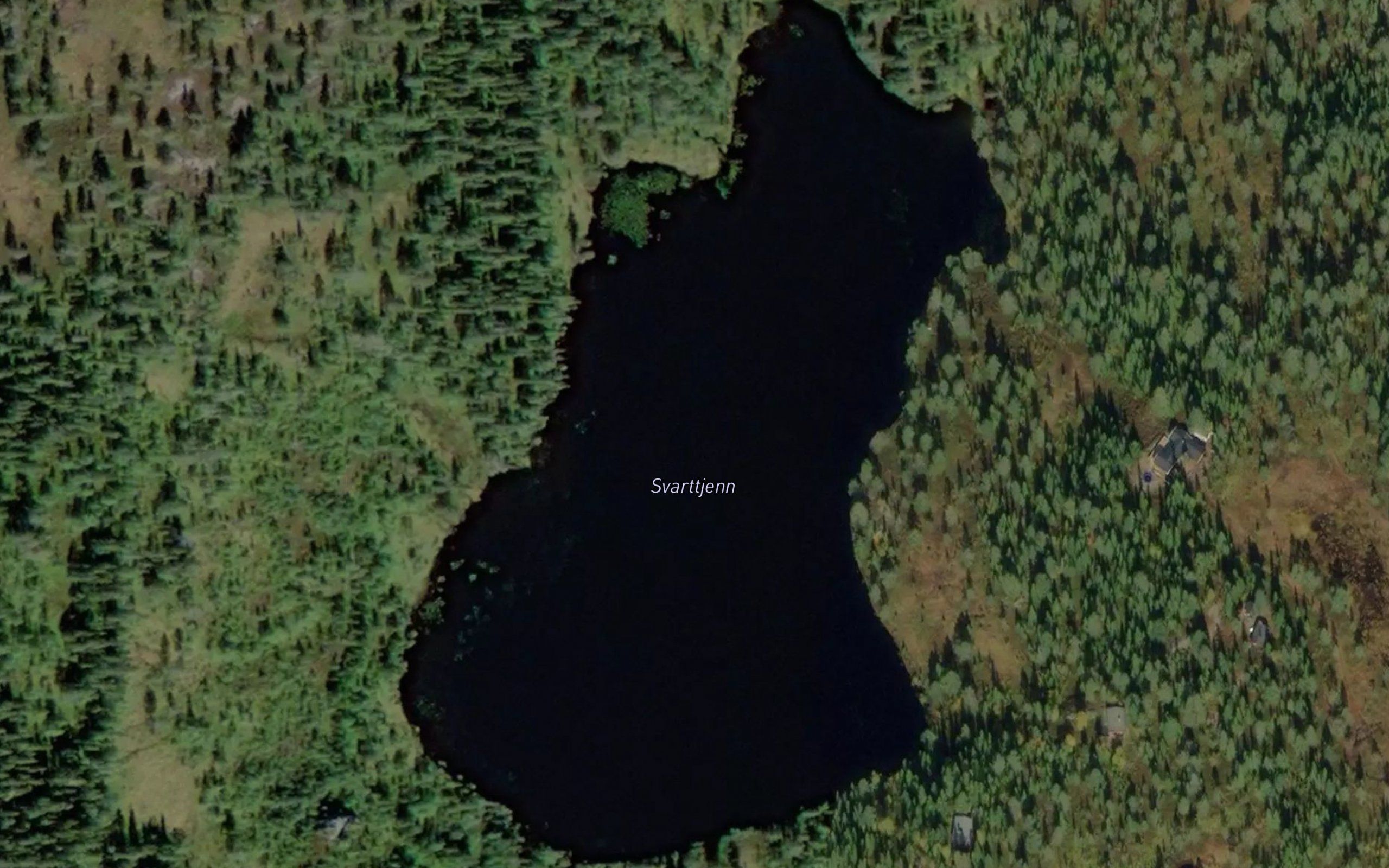 Svarttjern