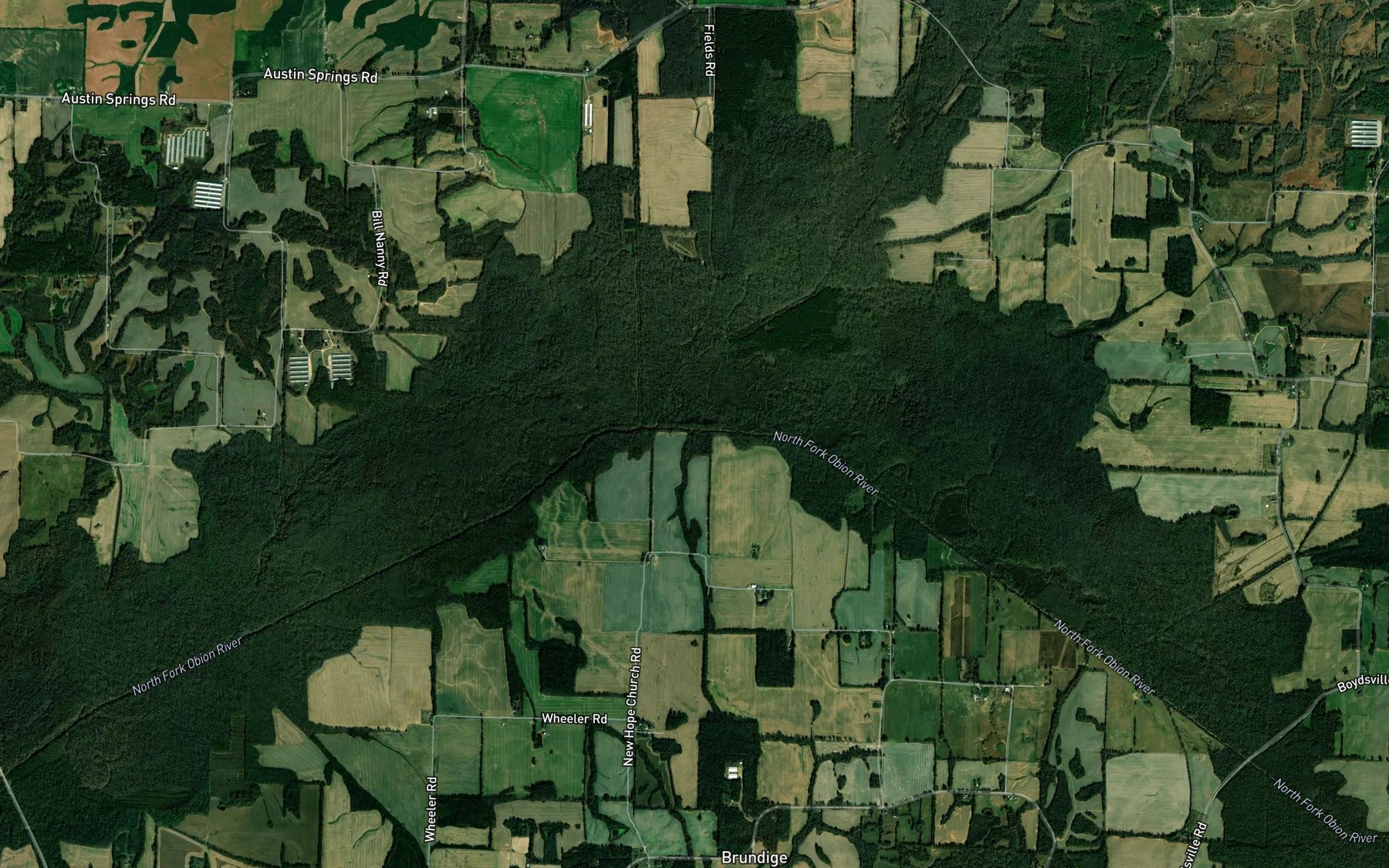 Satellite map of the Brundige Branch