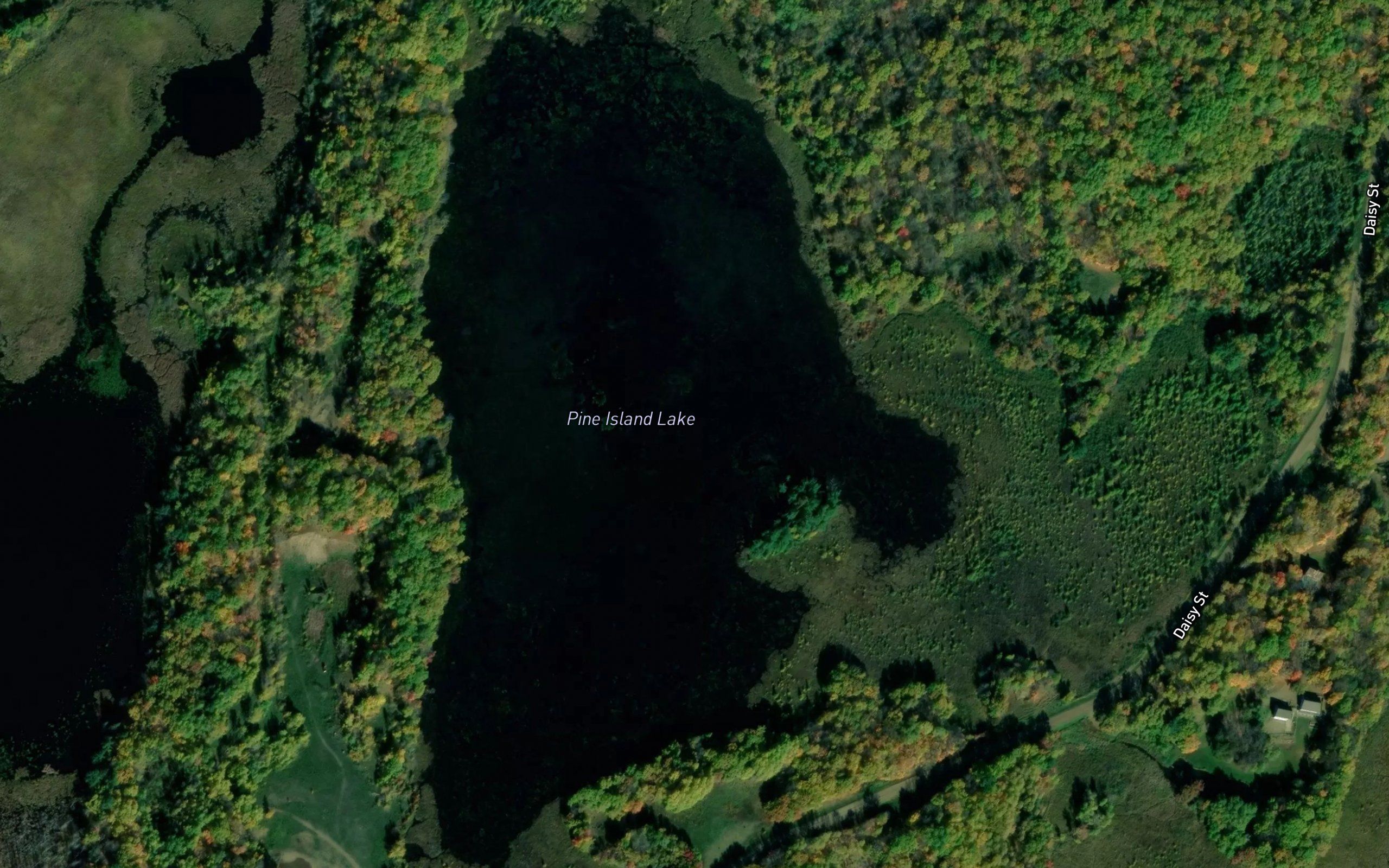 Pine Island Lake