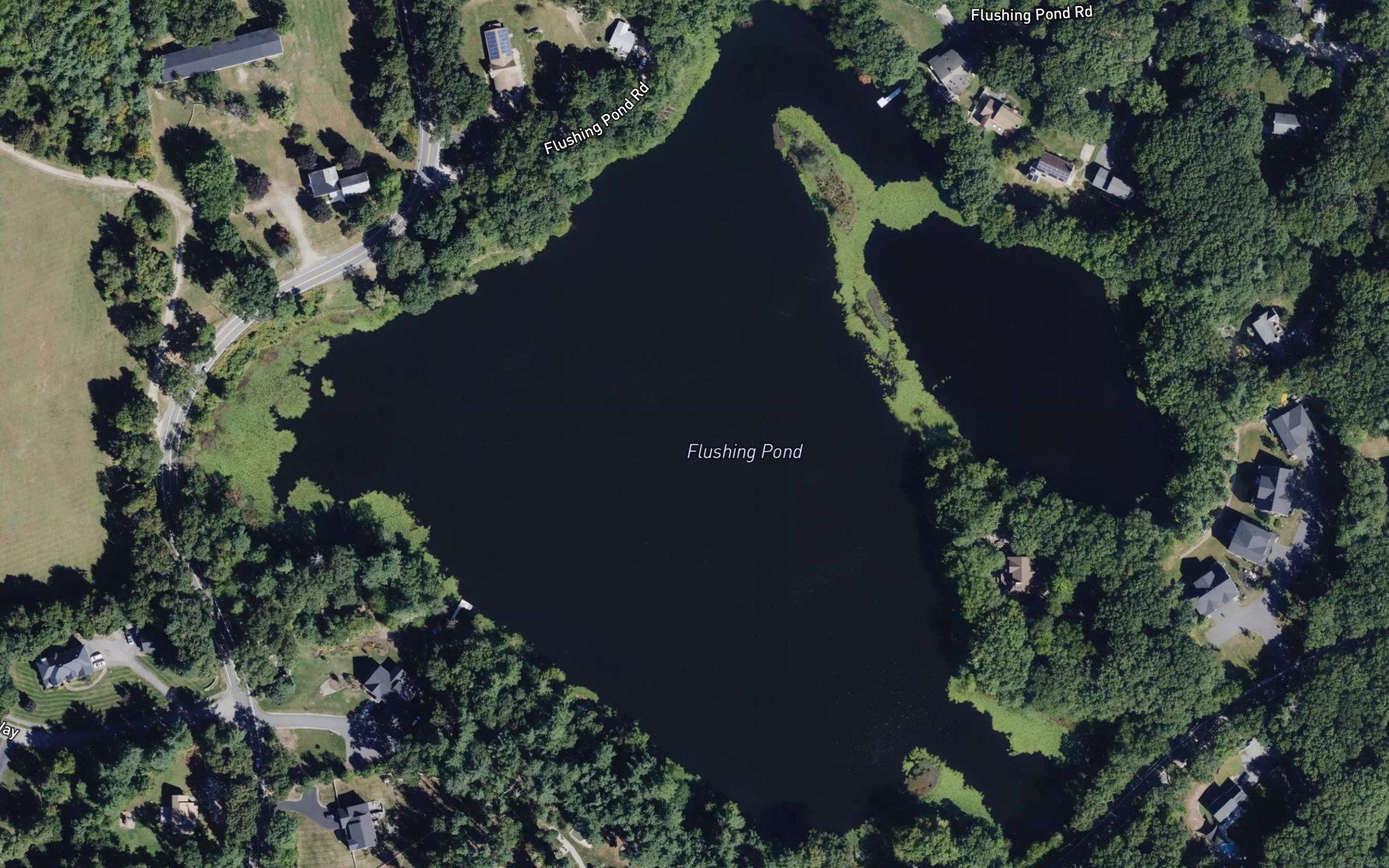 Flushing Pond