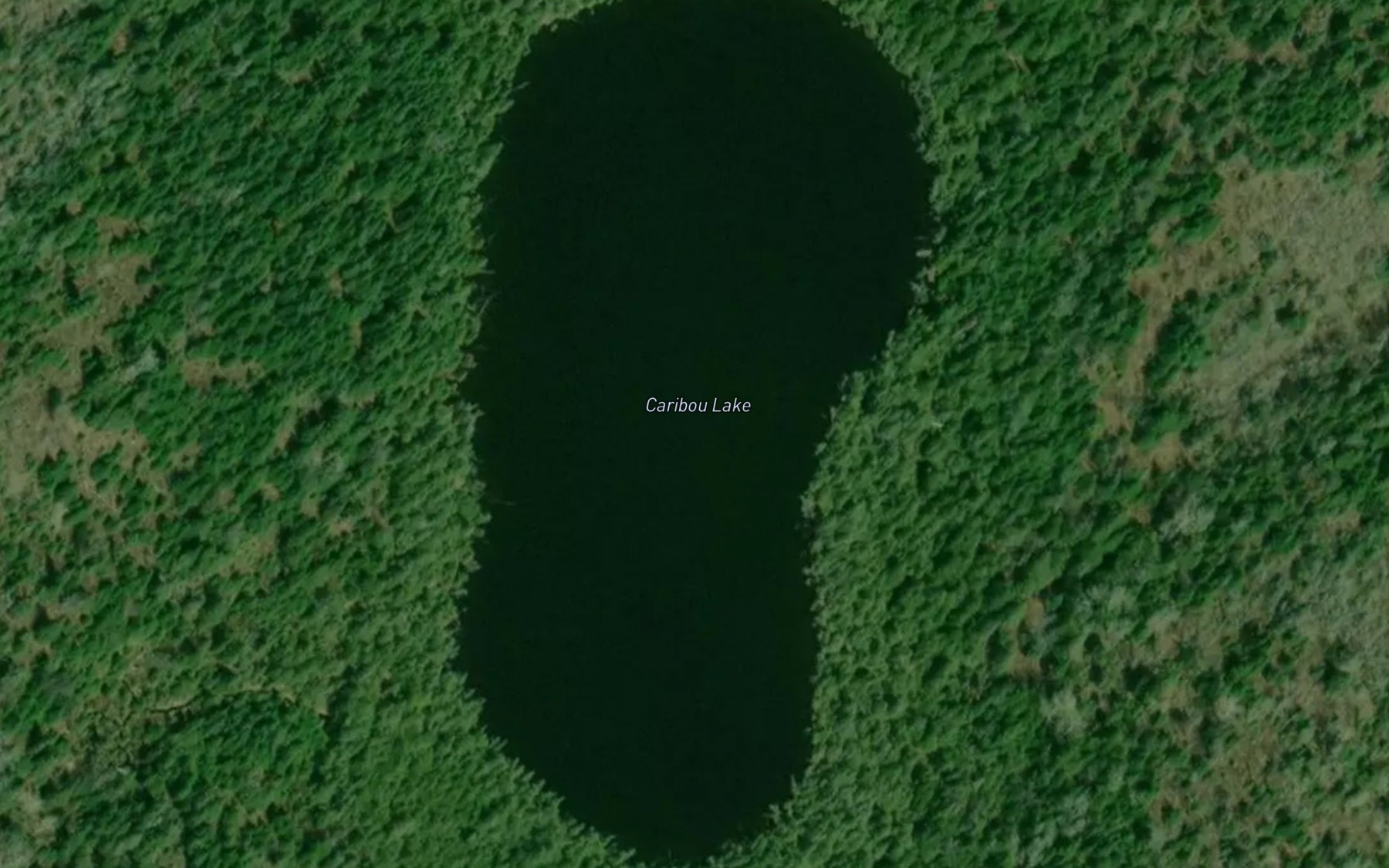 Satellite map of the Caribou Lake