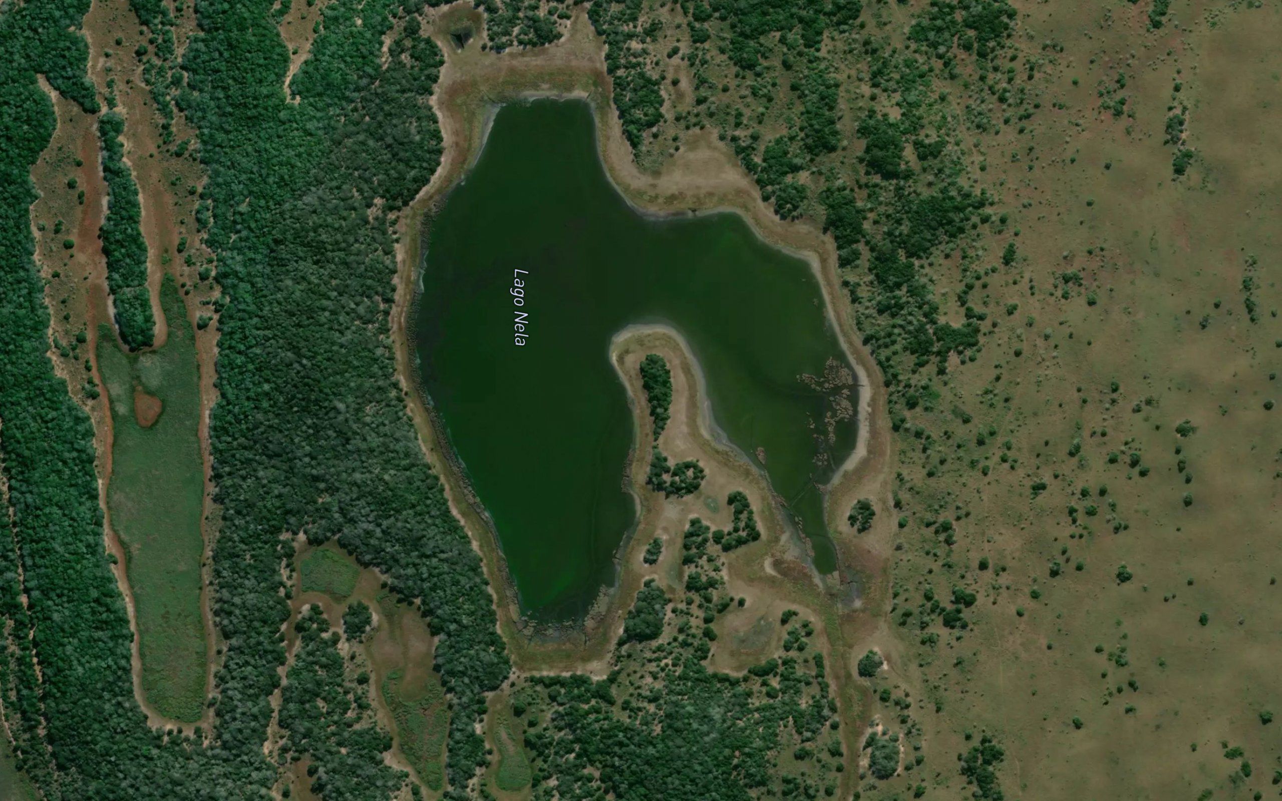 Lago Nela