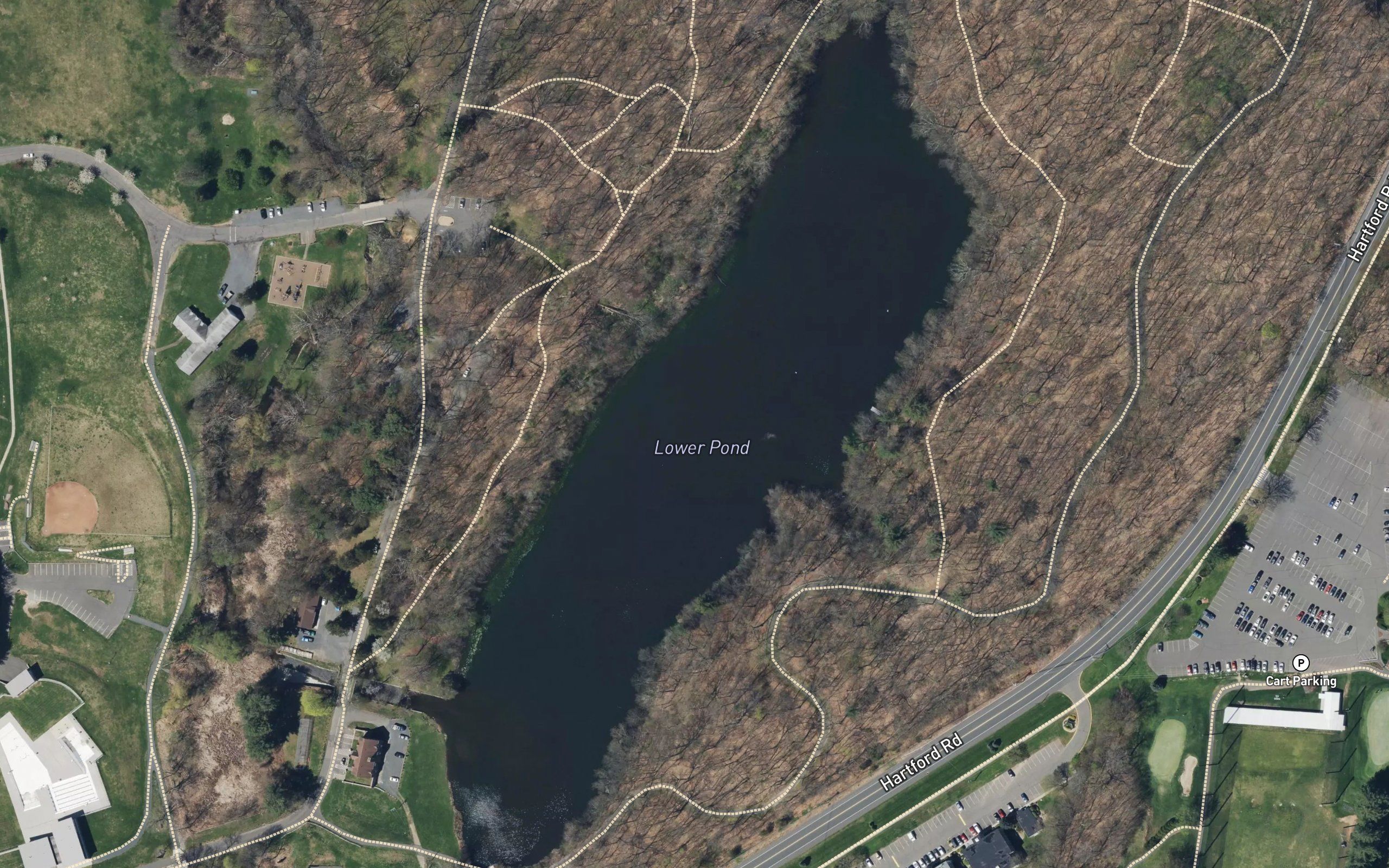 Lower Pond