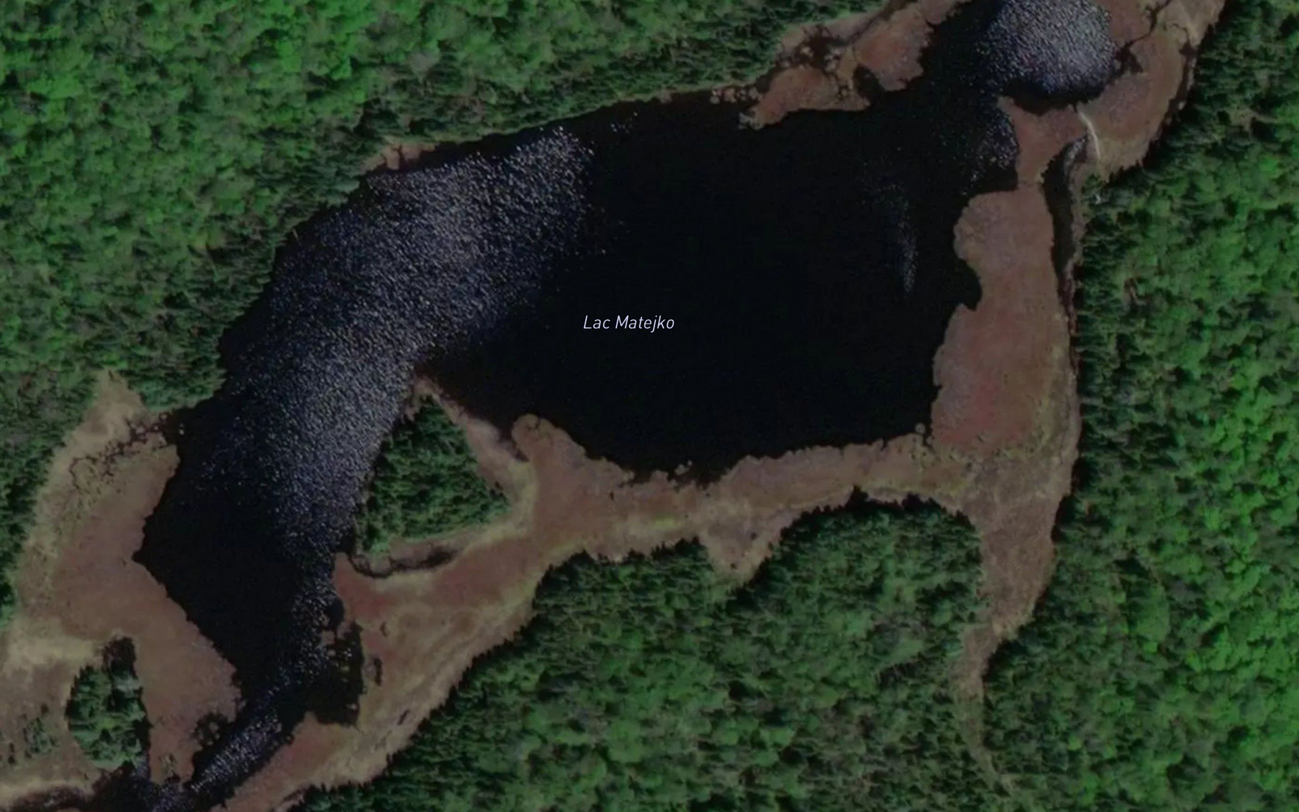 Lac Matejko