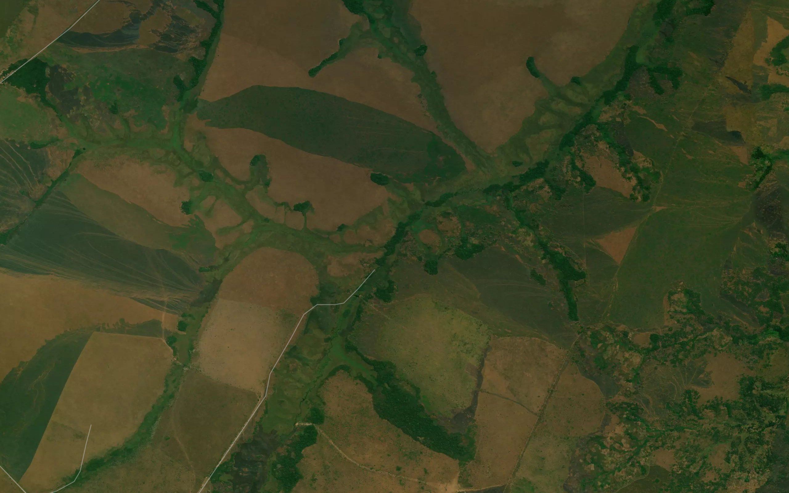 Dima-Dima