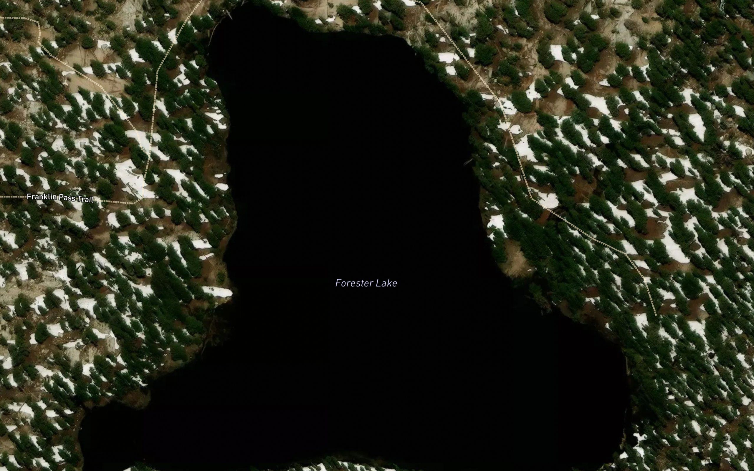 Forester Lake