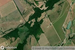 Hog Creek