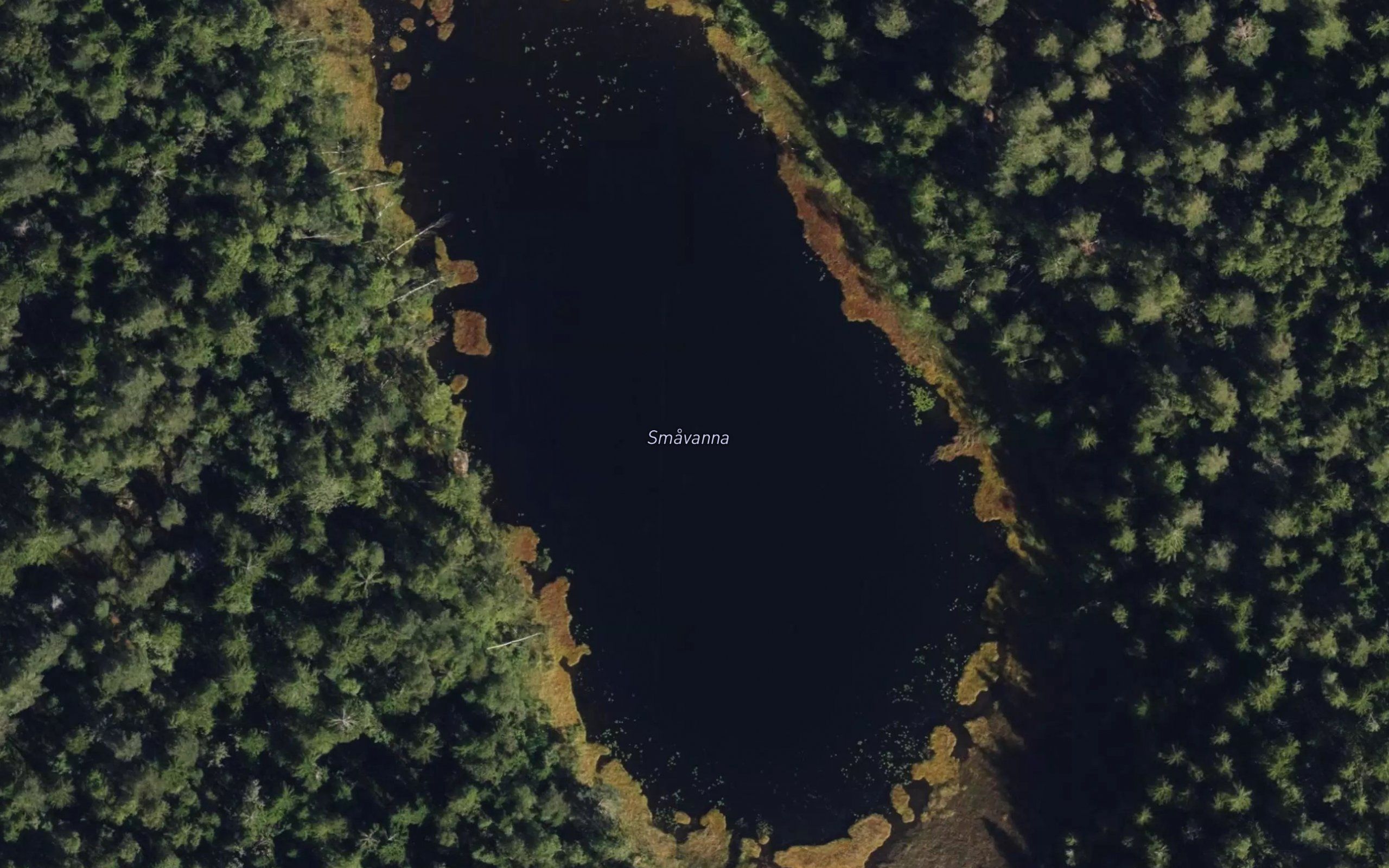 Smatjerna
