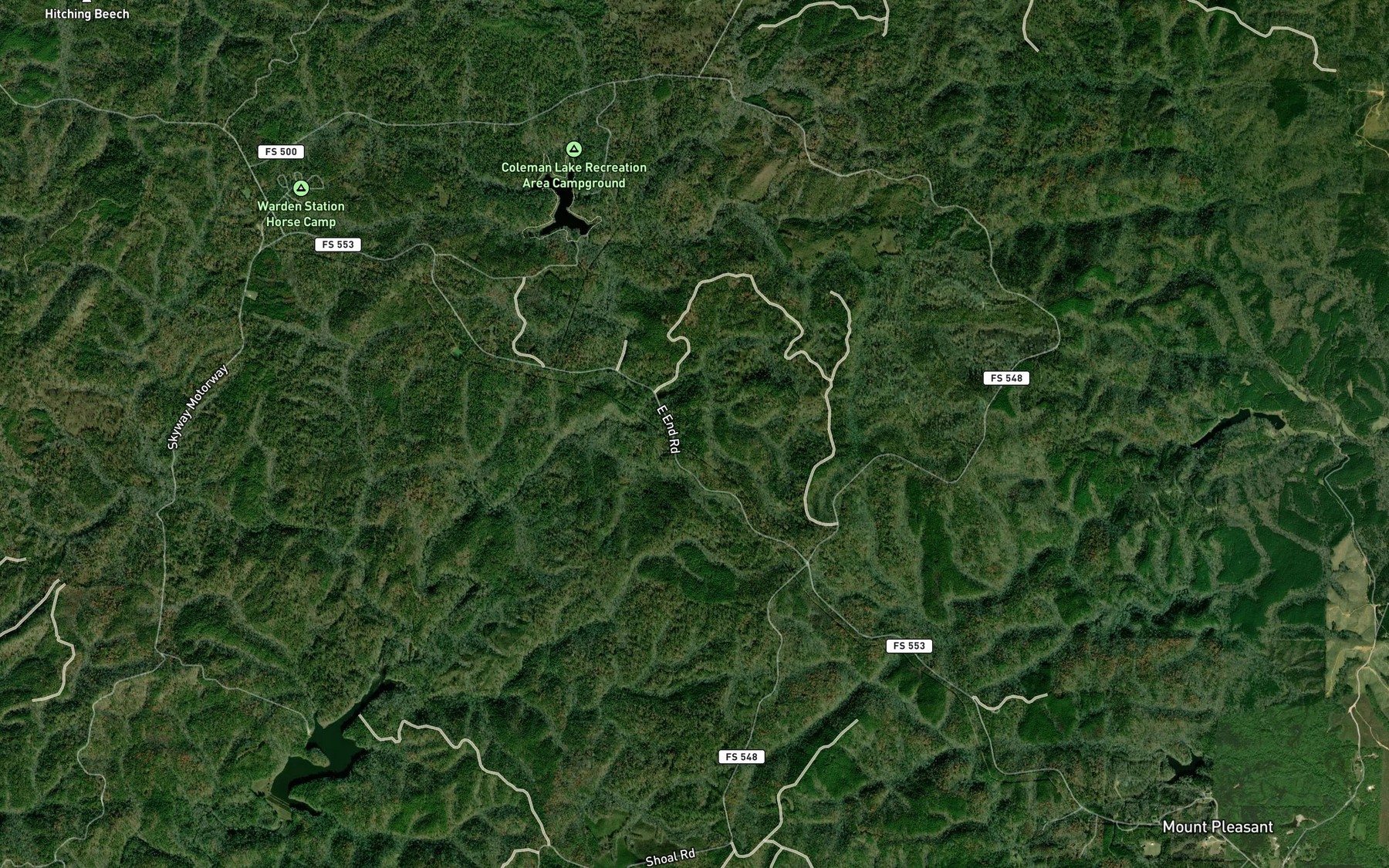 Satellite map of the Coleman Lake