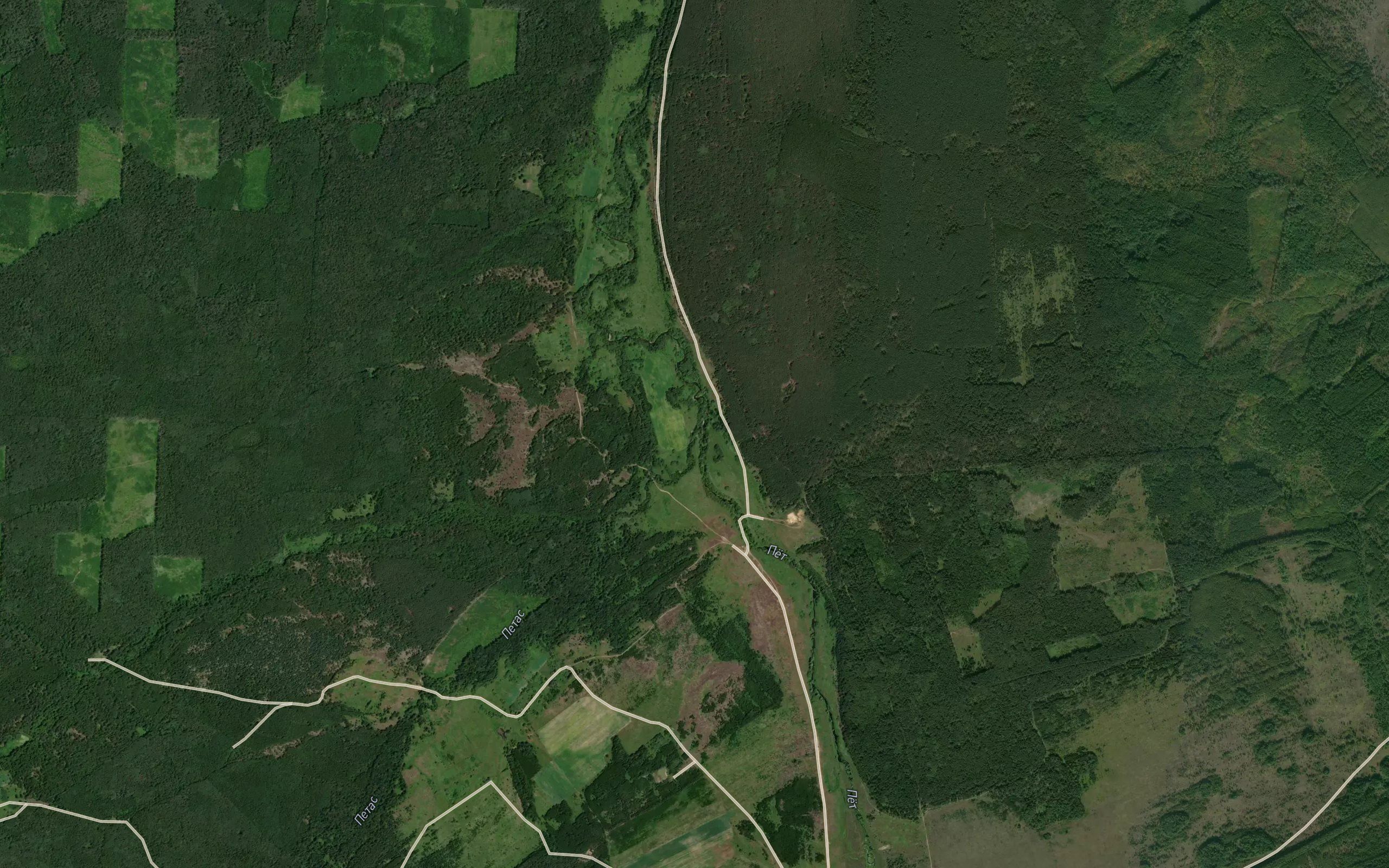 Petas