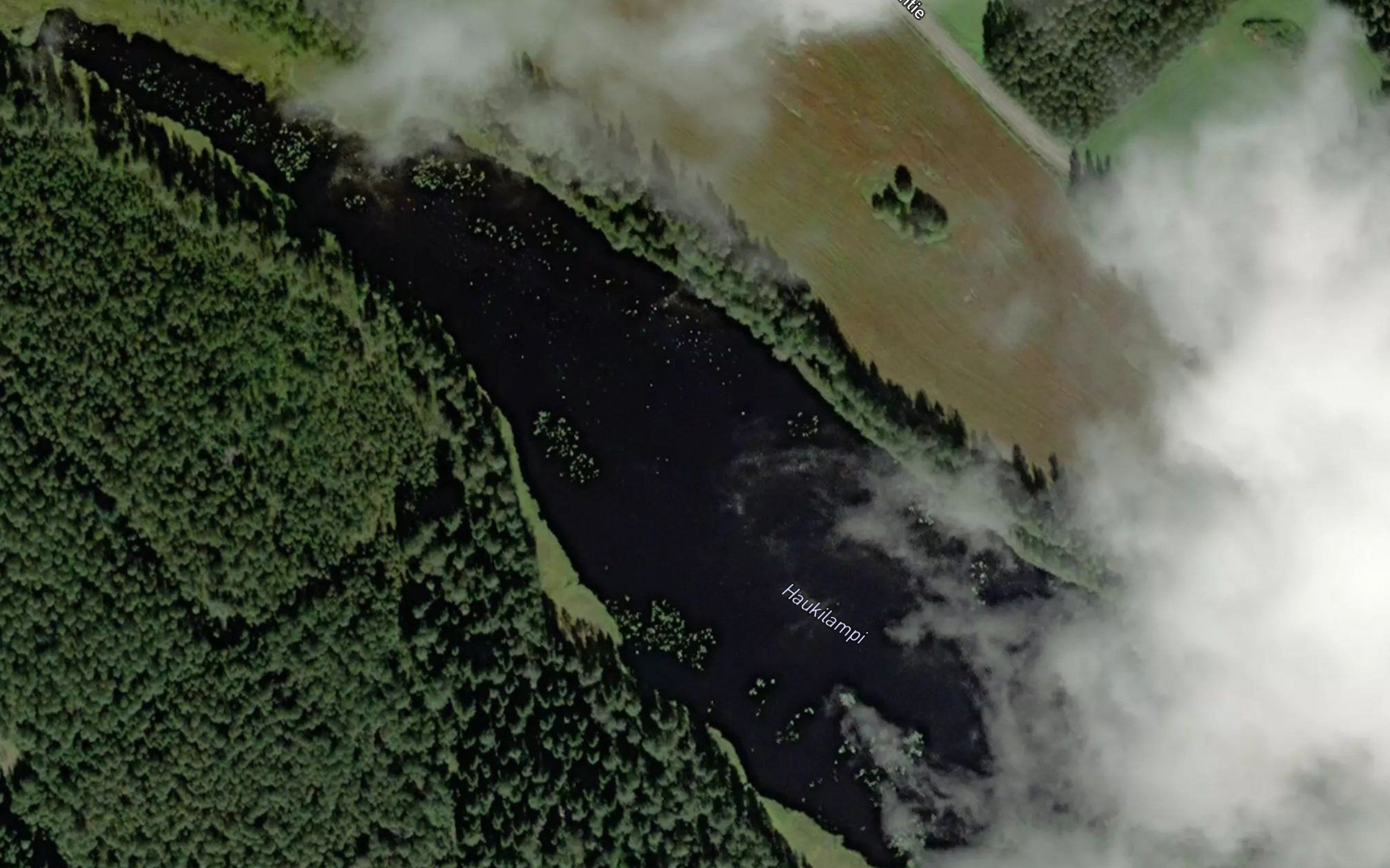 Haukilampi