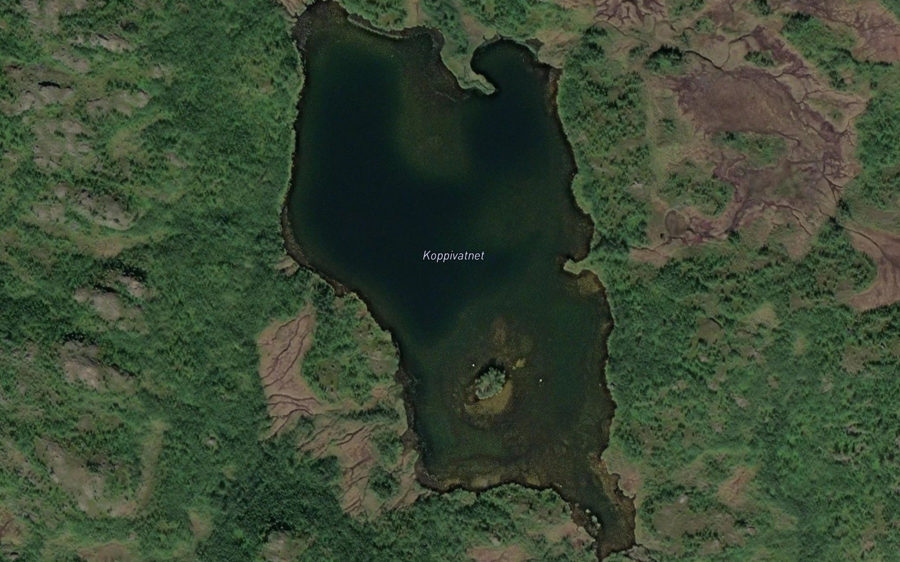 Satellite map of the Koppivatnet