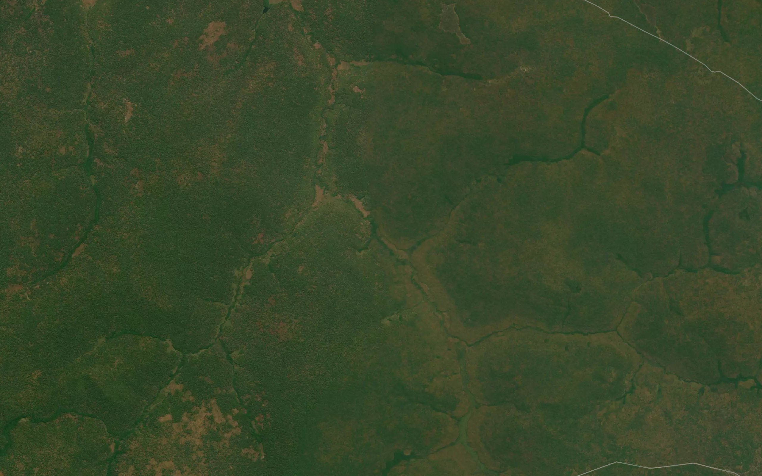 Cambuegi