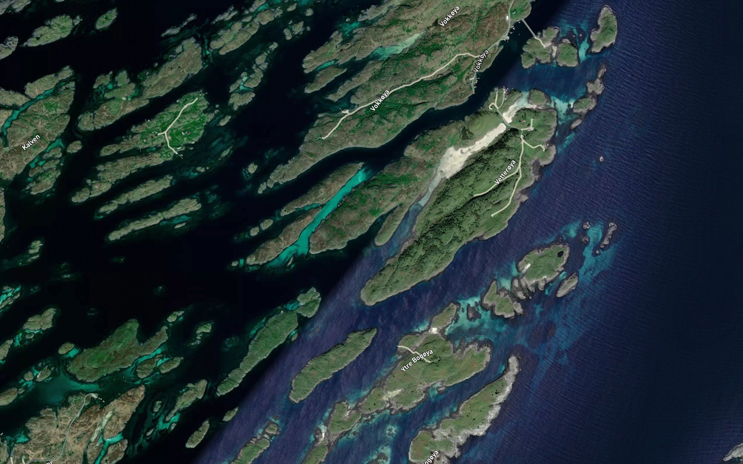 Kalvvika